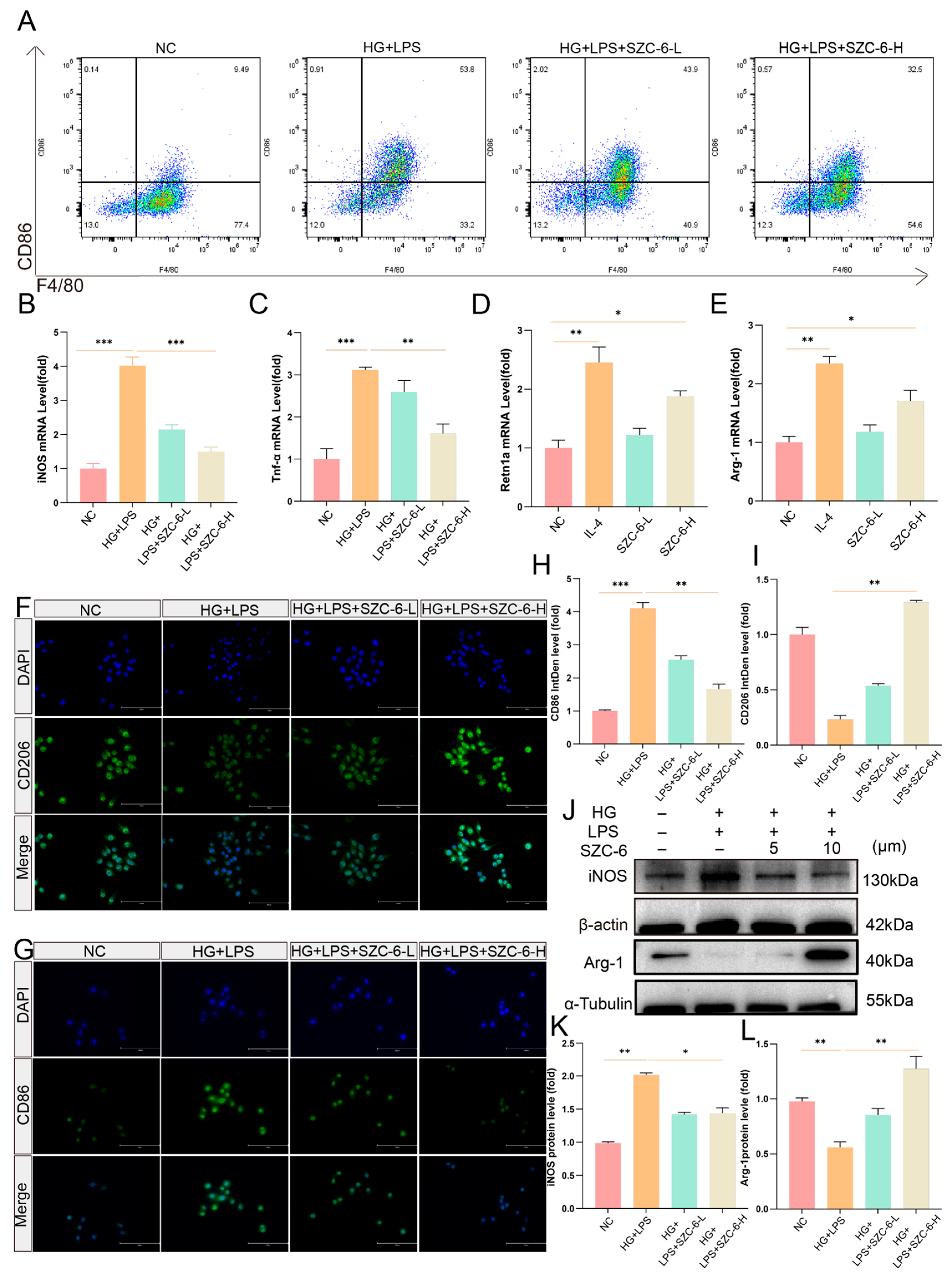 Pharmaceuticals 18 01143 g004
