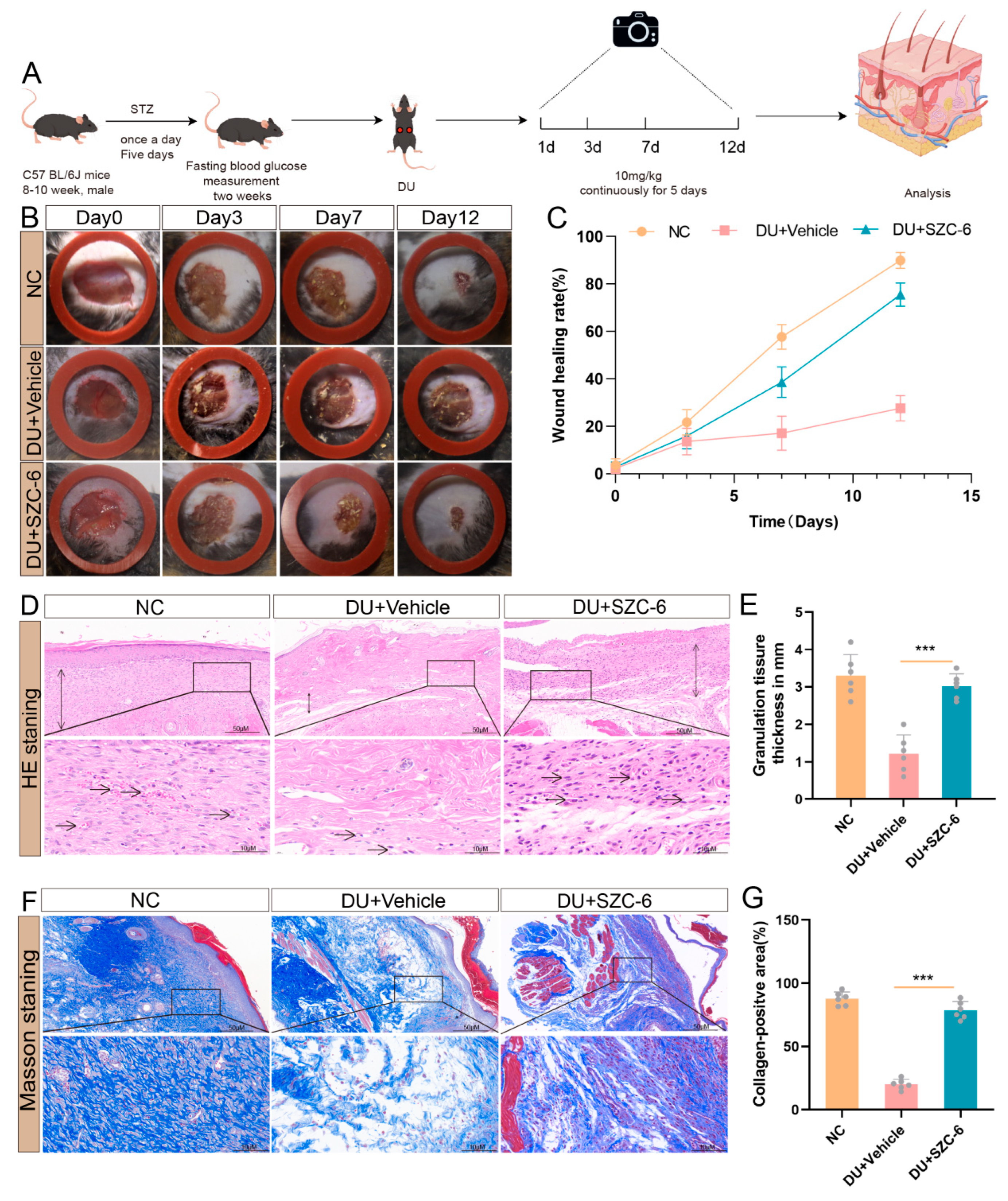 Pharmaceuticals 18 01143 g005