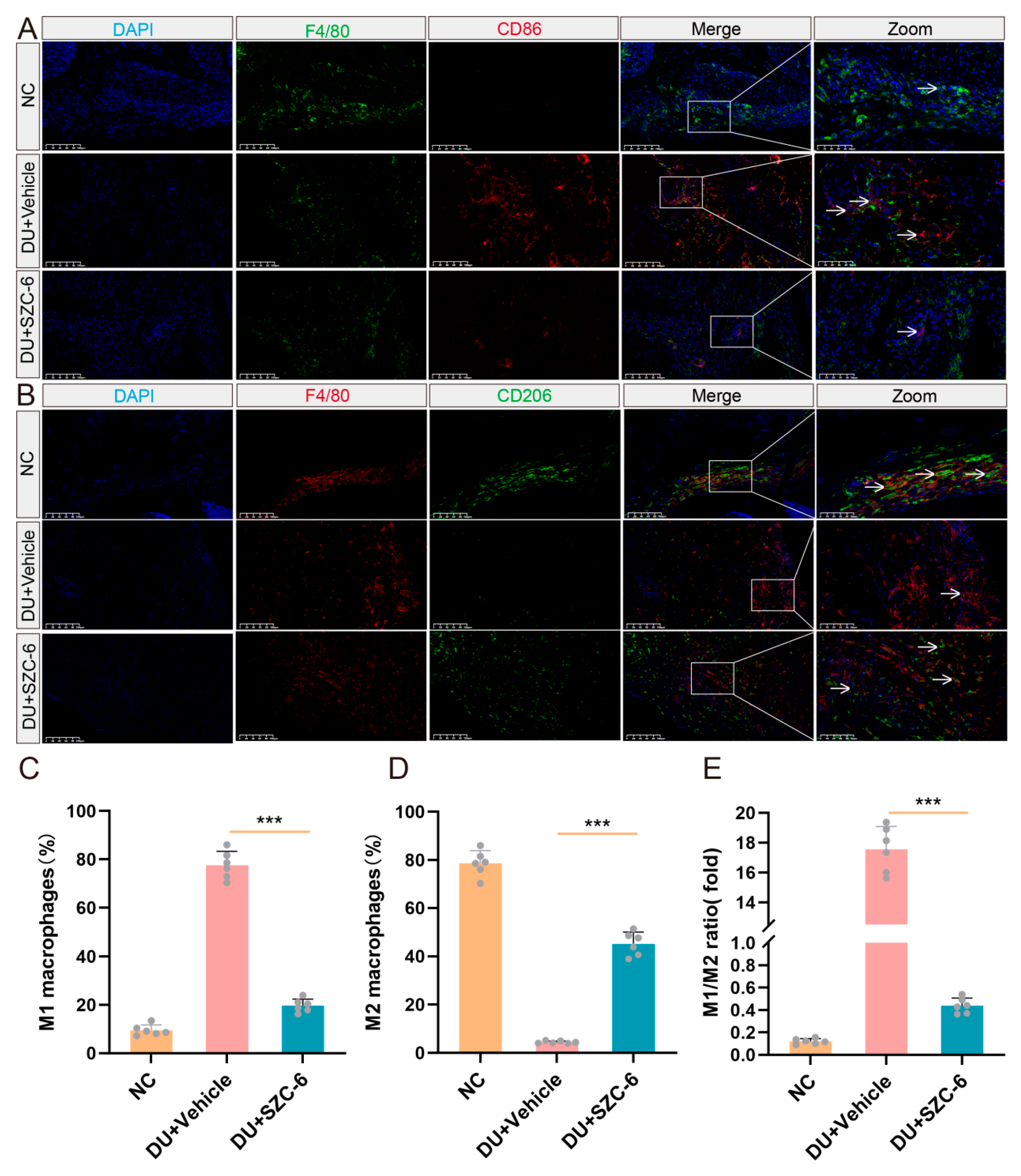 Pharmaceuticals 18 01143 g006