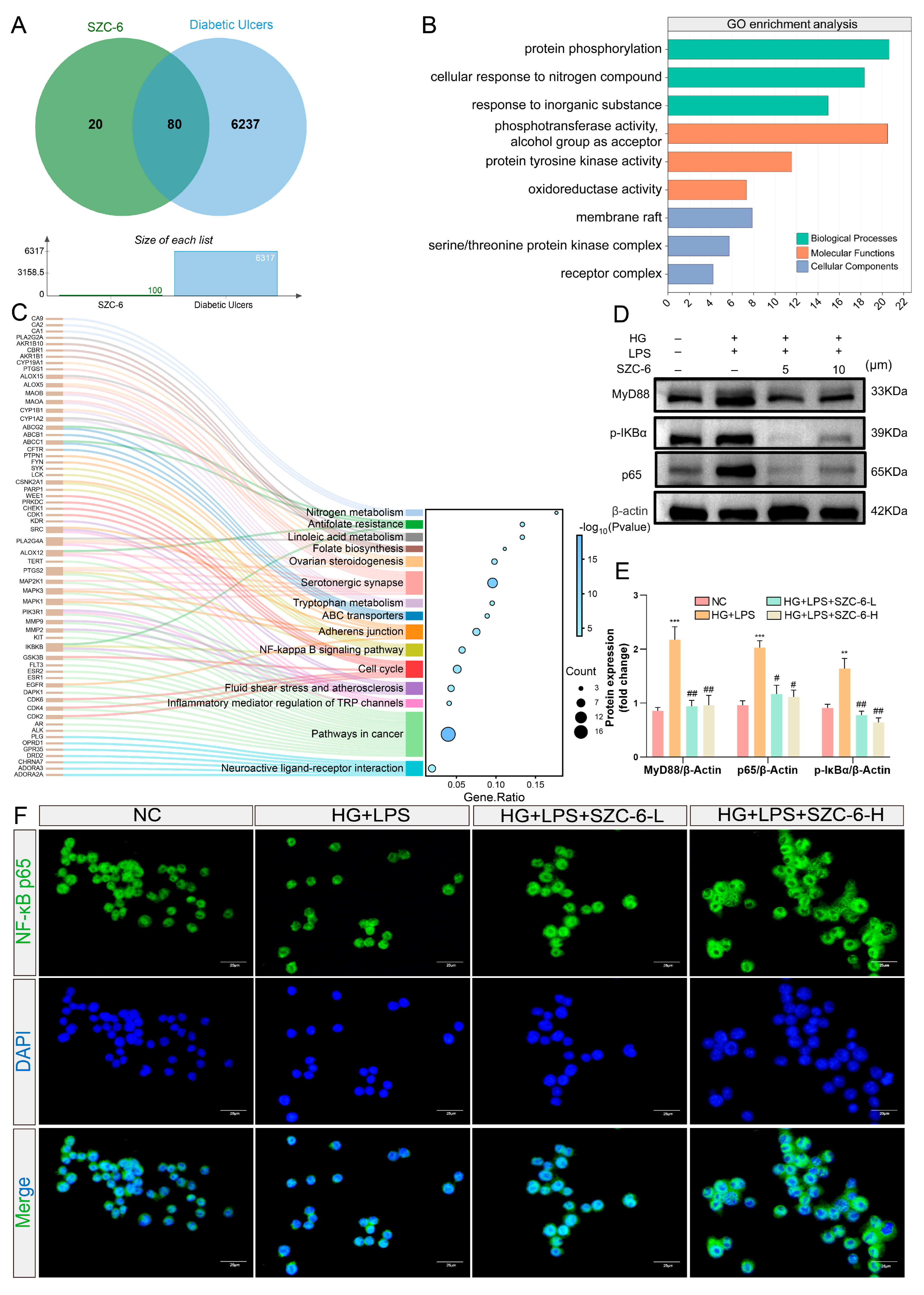 Pharmaceuticals 18 01143 g007