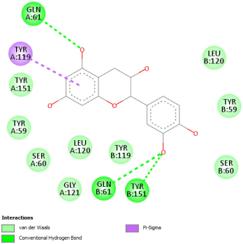 Pharmaceuticals 18 01147 i010 Pharmaceuticals 18 01147 i010