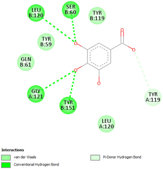 Pharmaceuticals 18 01147 i011 Pharmaceuticals 18 01147 i011