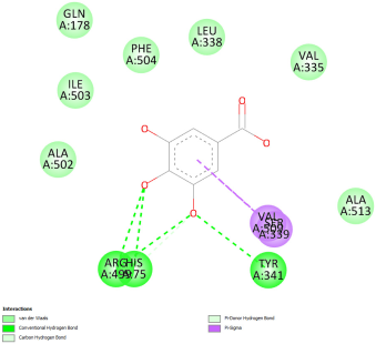 Pharmaceuticals 18 01147 i019 Pharmaceuticals 18 01147 i019
