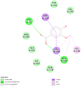 Pharmaceuticals 18 01147 i020 Pharmaceuticals 18 01147 i020
