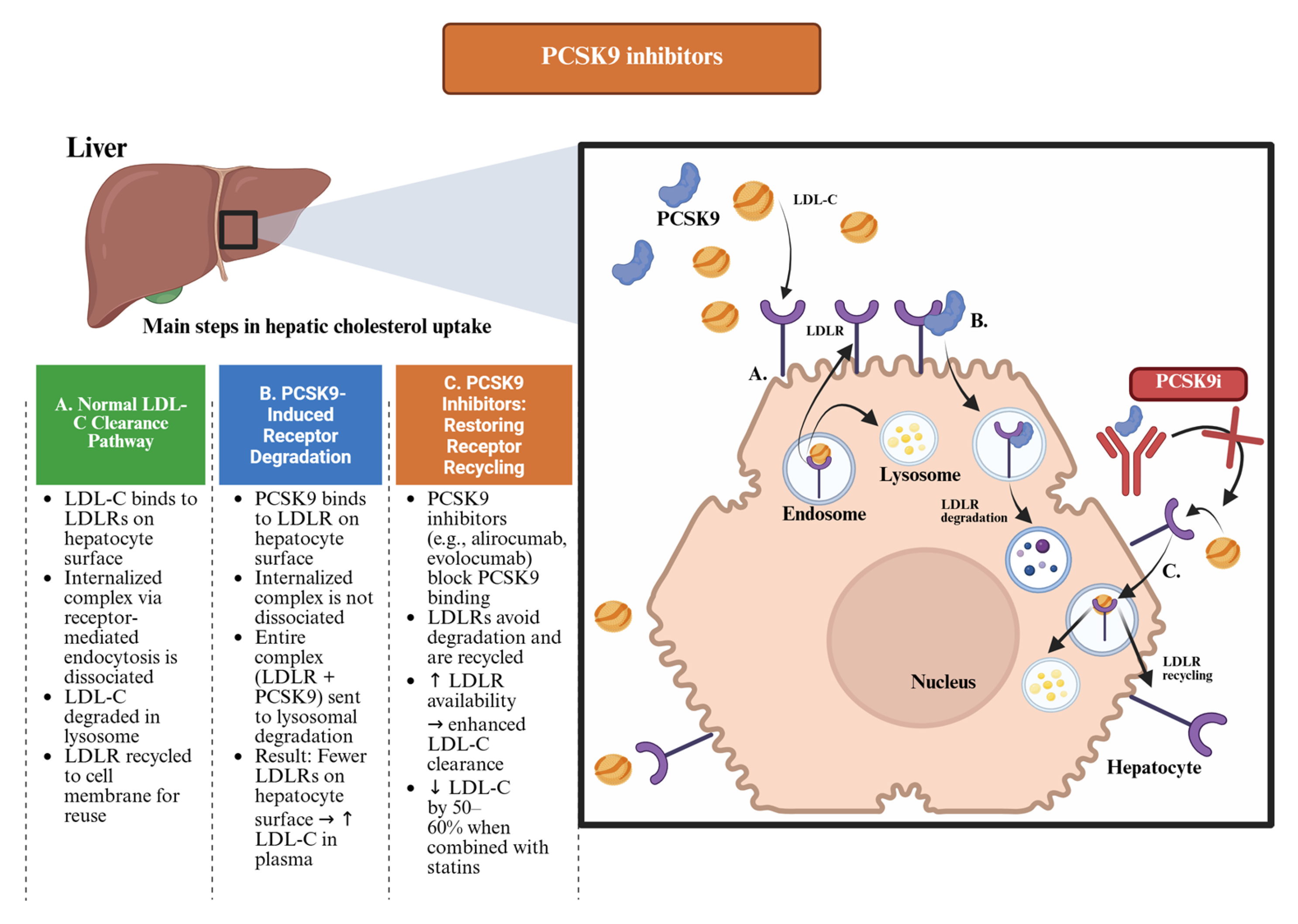 Pharmaceuticals 18 01150 g001