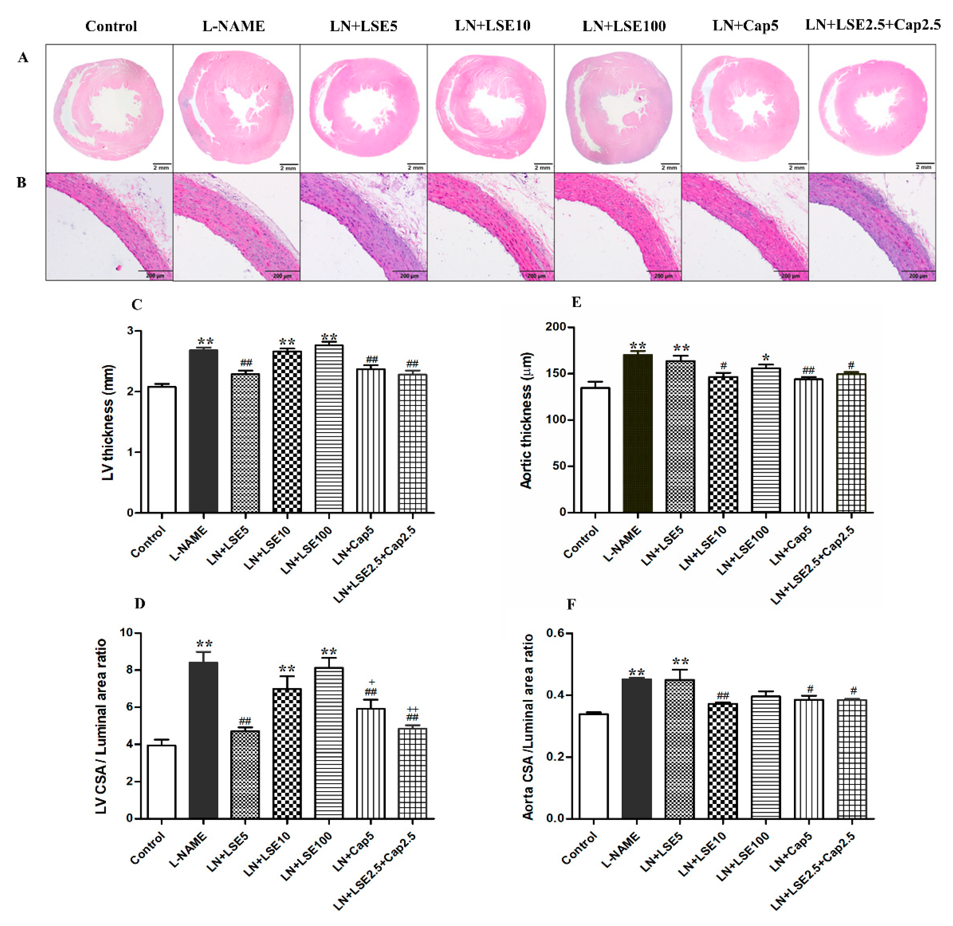 Pharmaceuticals 18 01156 g003