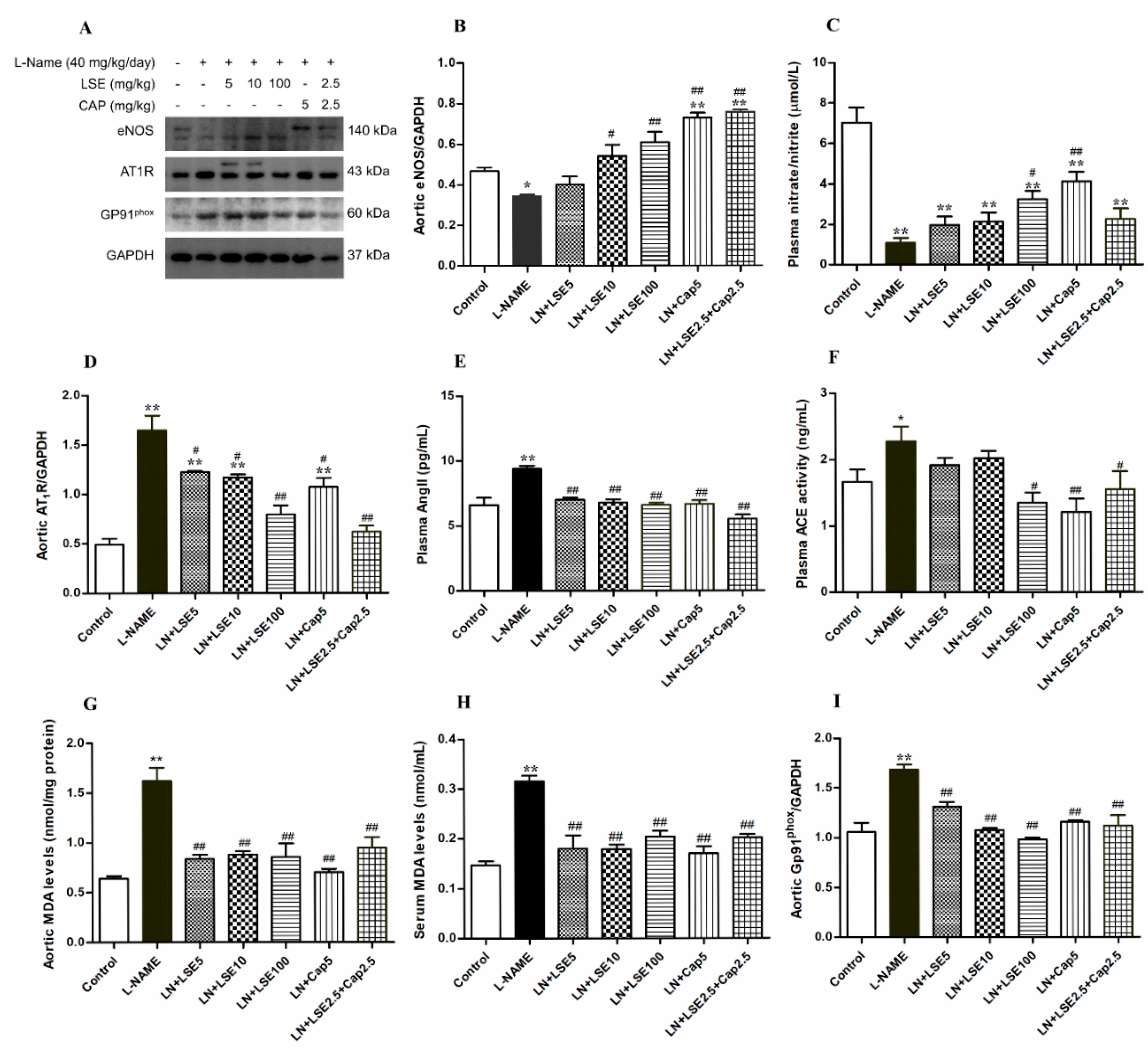 Pharmaceuticals 18 01156 g005