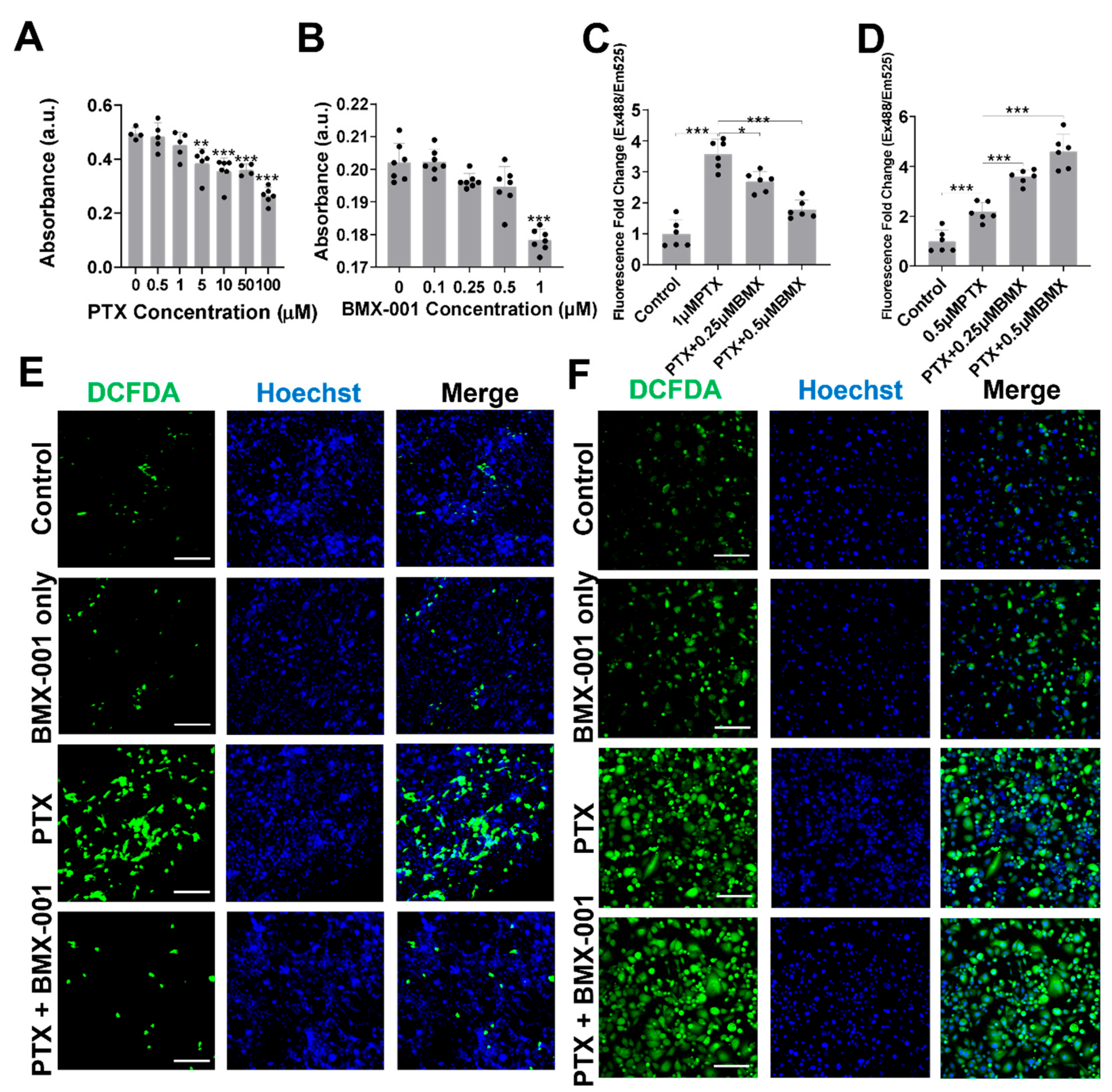 Pharmaceuticals 18 01159 g002 Pharmaceuticals 18 01159 g002