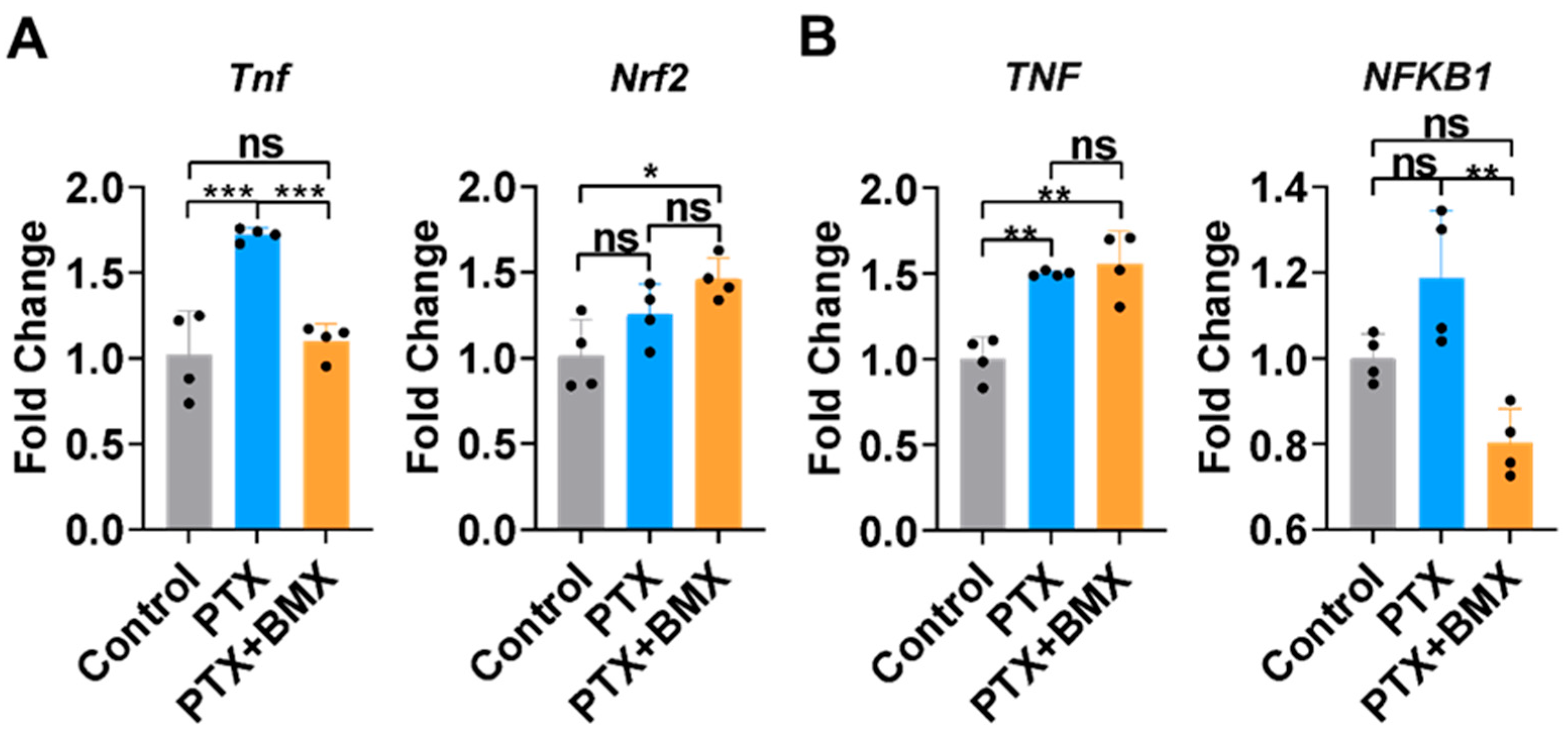 Pharmaceuticals 18 01159 g003 Pharmaceuticals 18 01159 g003