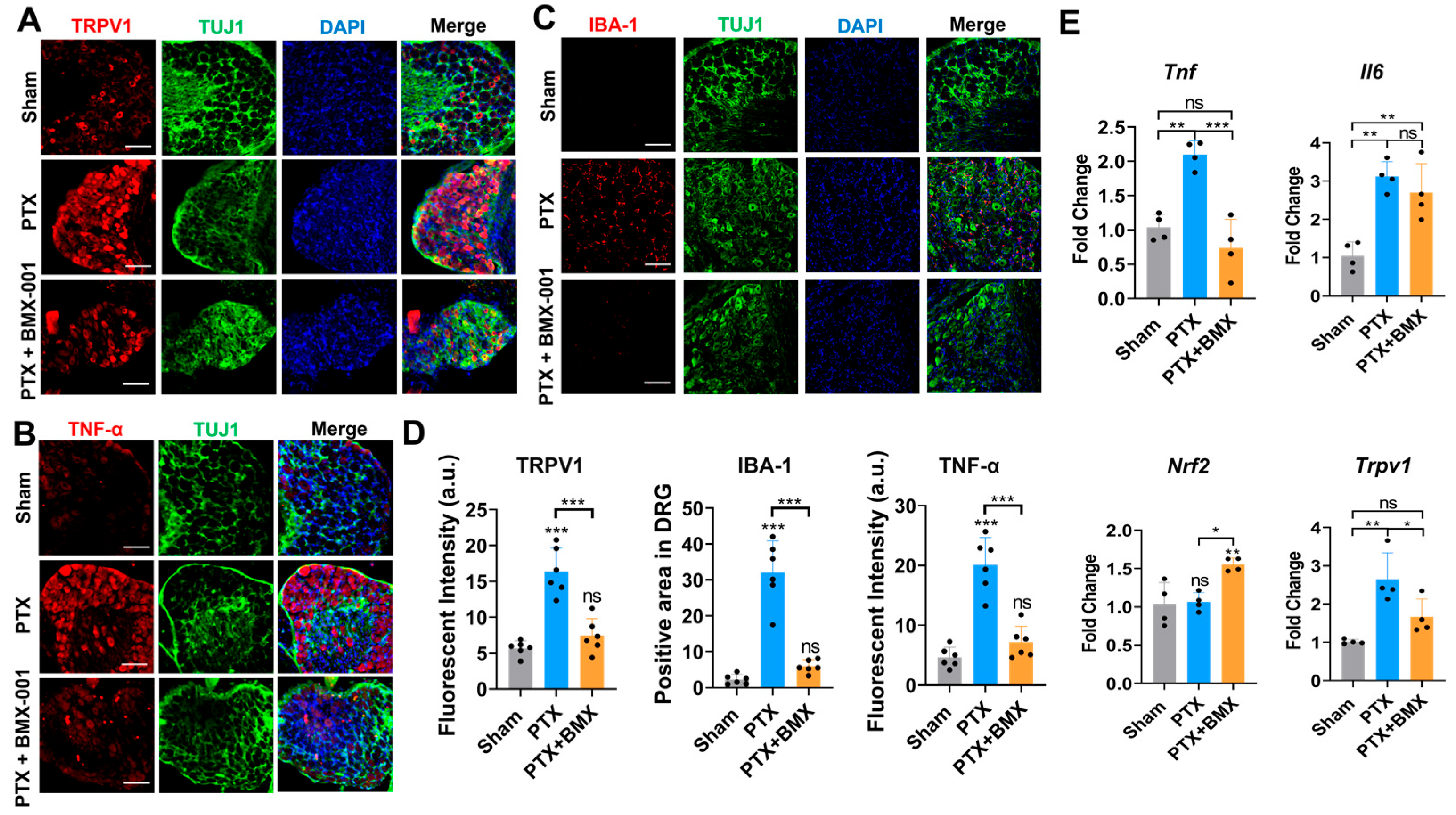 Pharmaceuticals 18 01159 g006 Pharmaceuticals 18 01159 g006