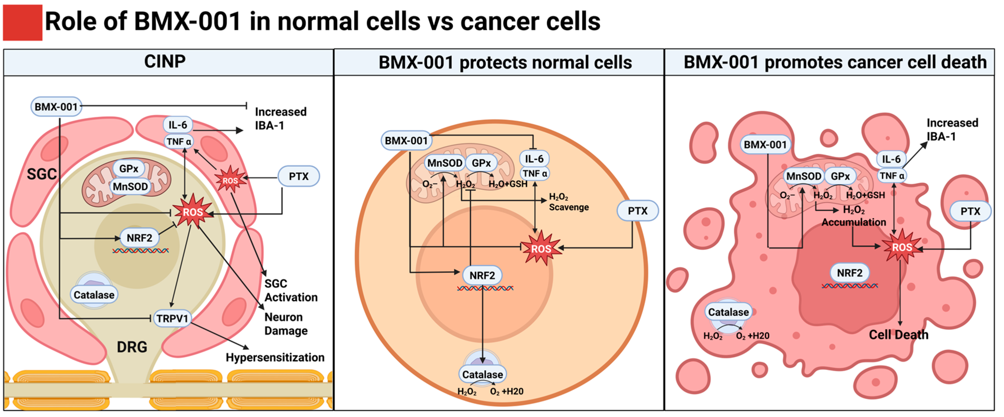 Pharmaceuticals 18 01159 g007 Pharmaceuticals 18 01159 g007