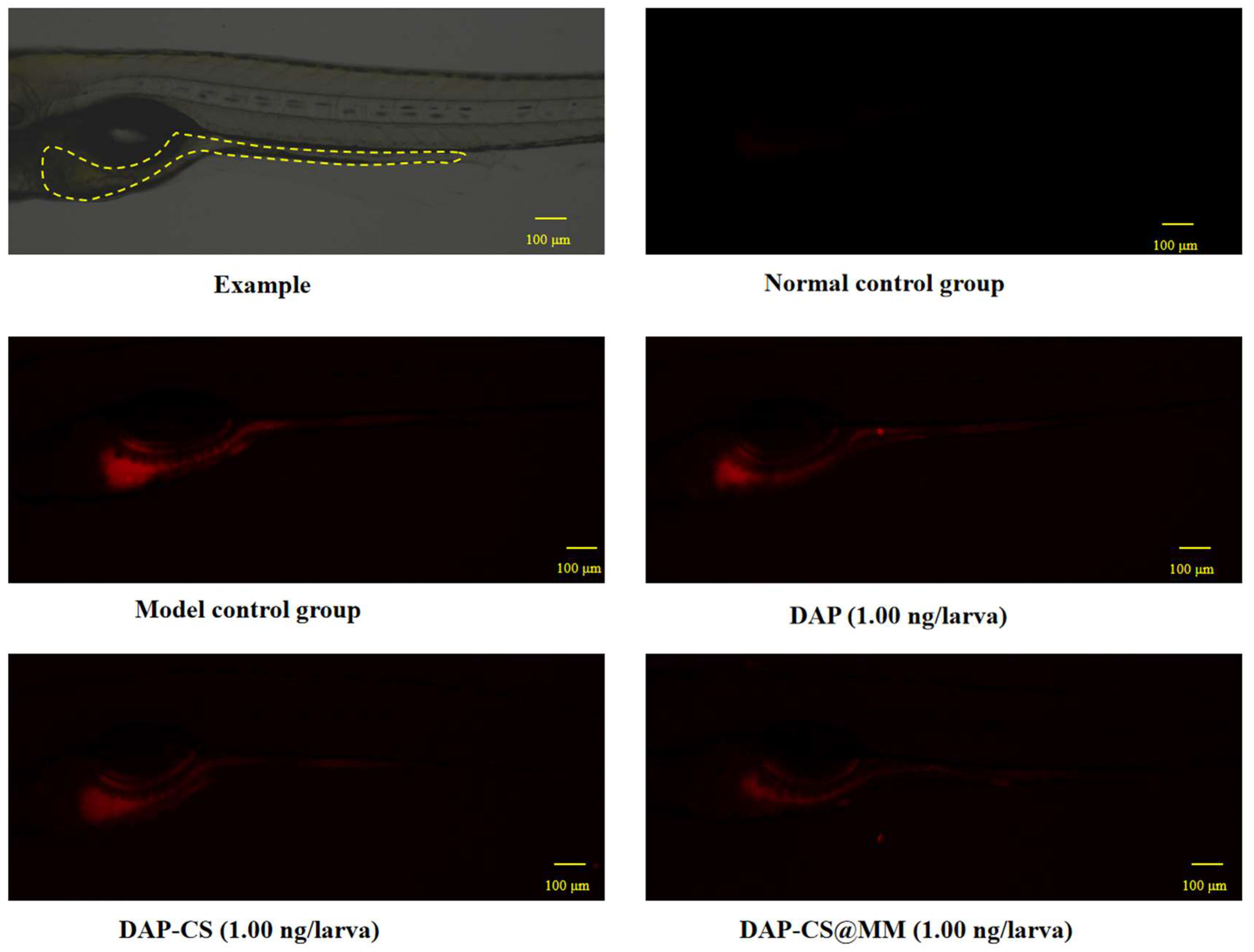 Pharmaceuticals 18 01169 g005