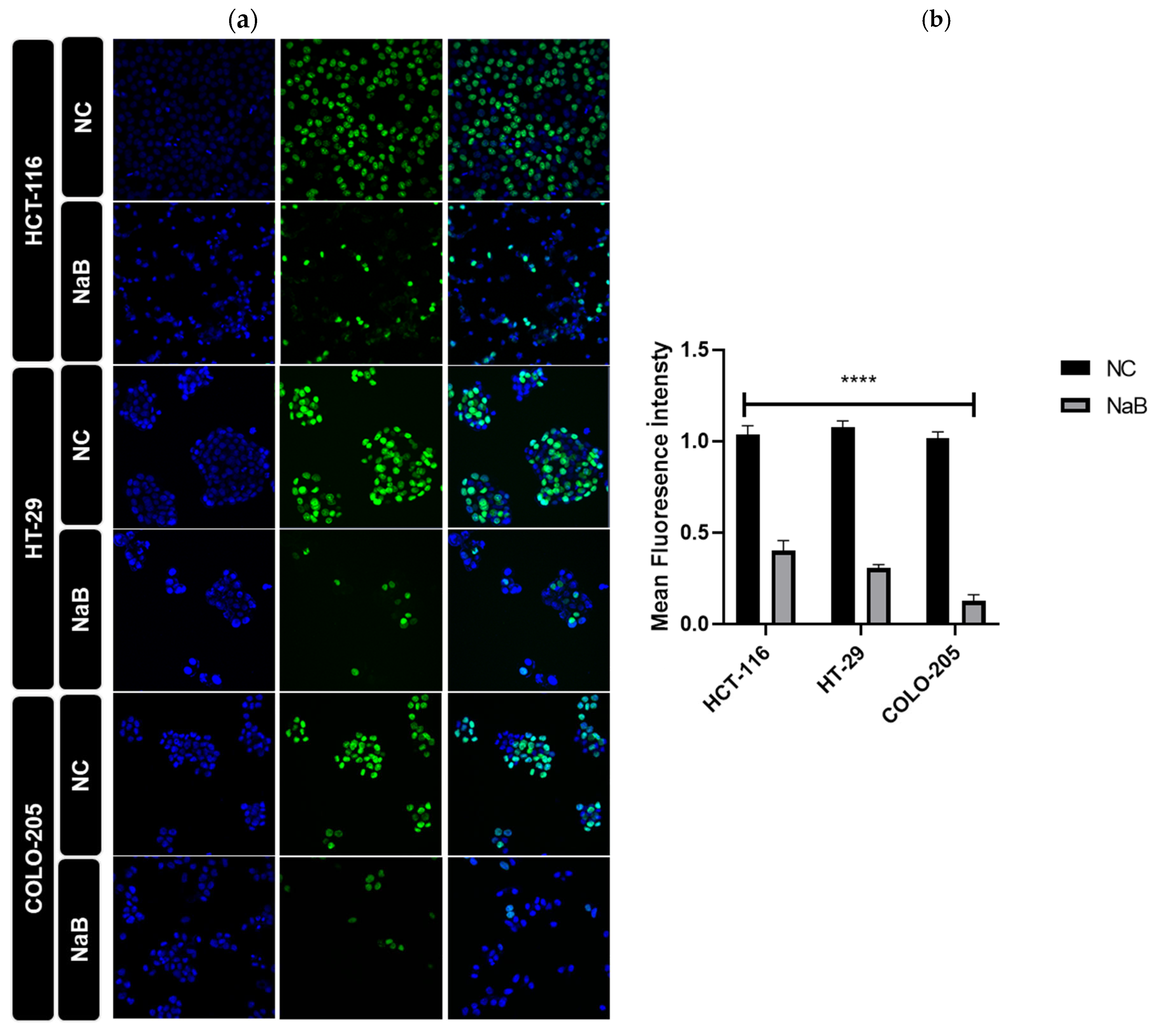 Pharmaceuticals 18 01171 g009