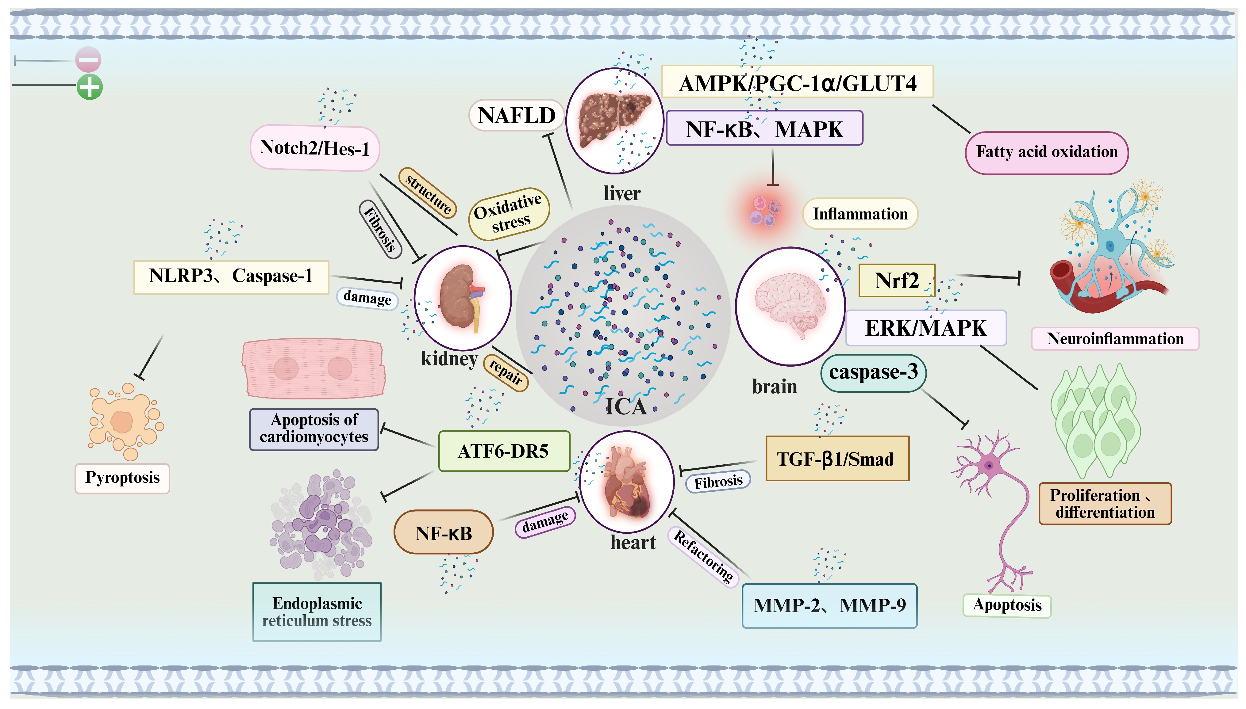 Pharmaceuticals 18 01174 g002