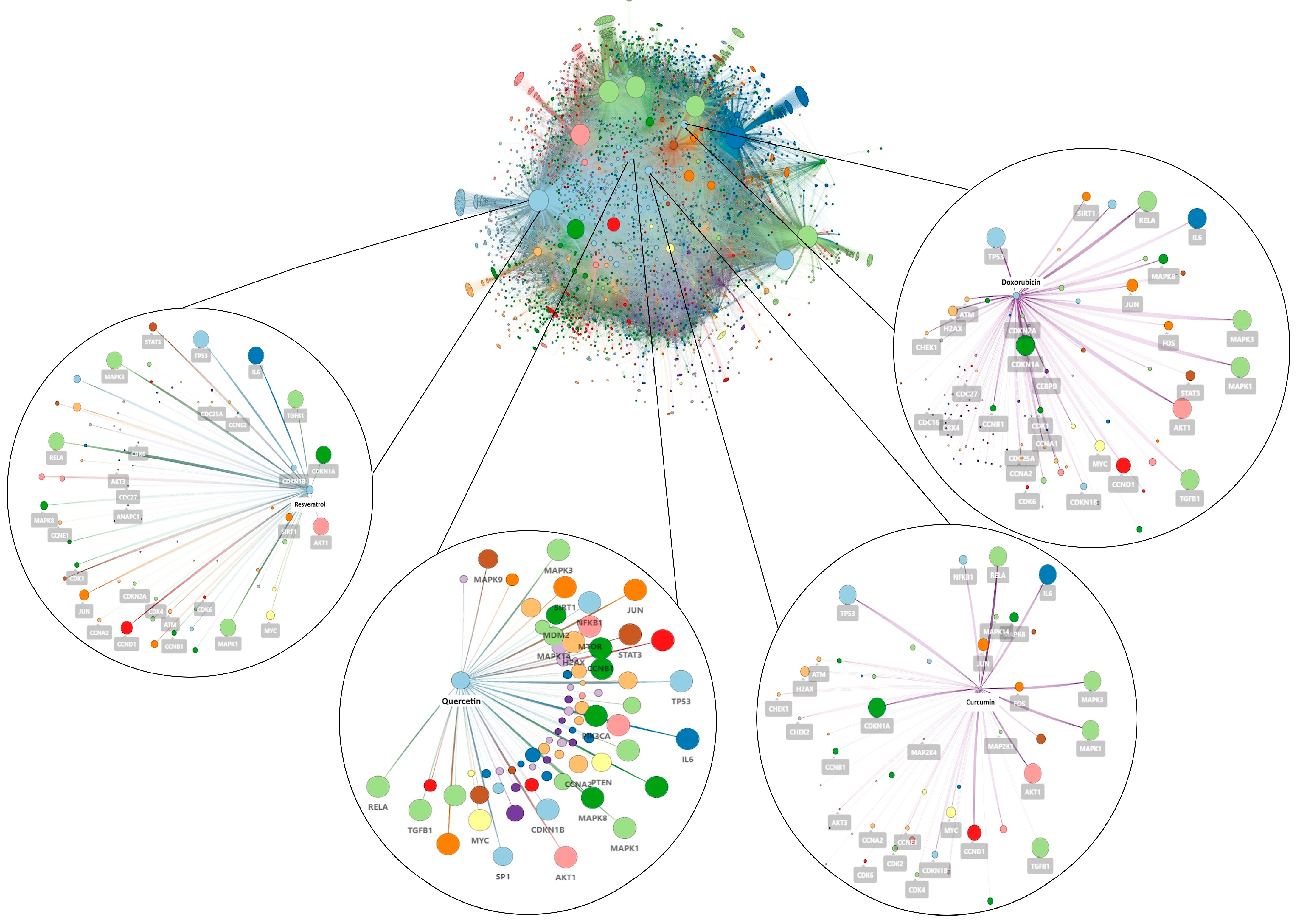Pharmaceuticals 18 01176 g001