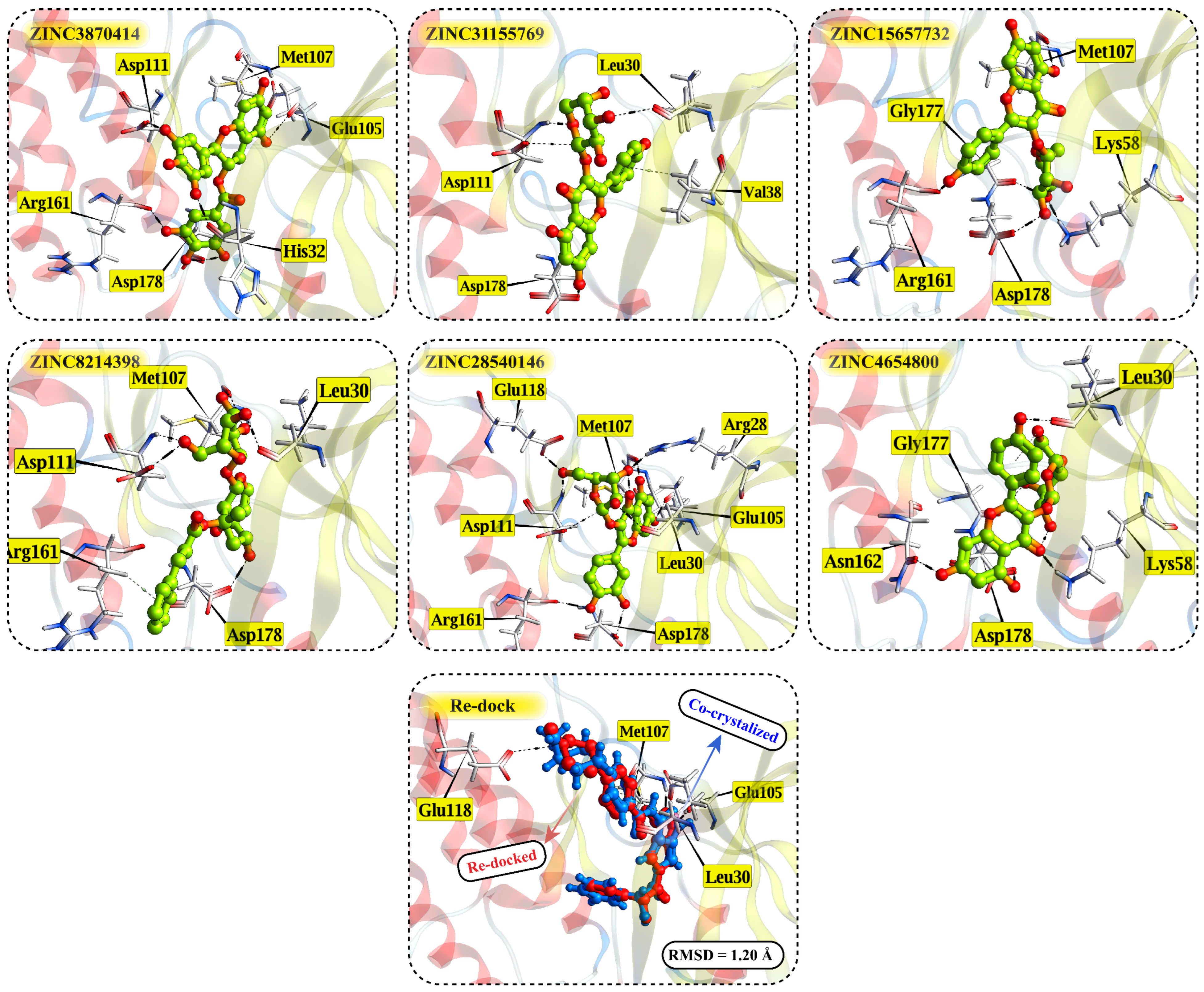 Pharmaceuticals 18 01178 g005