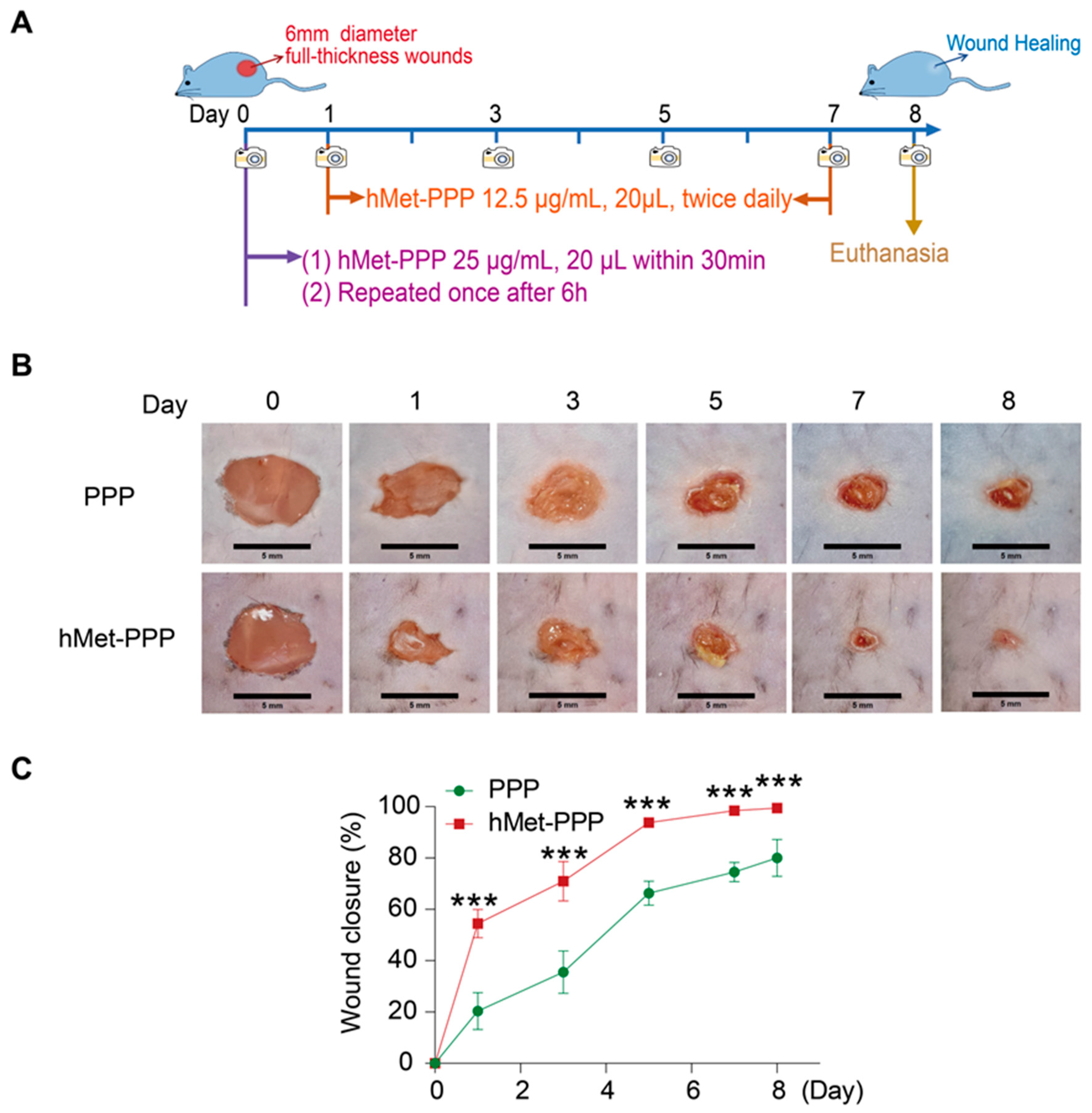 Pharmaceuticals 18 01180 g001
