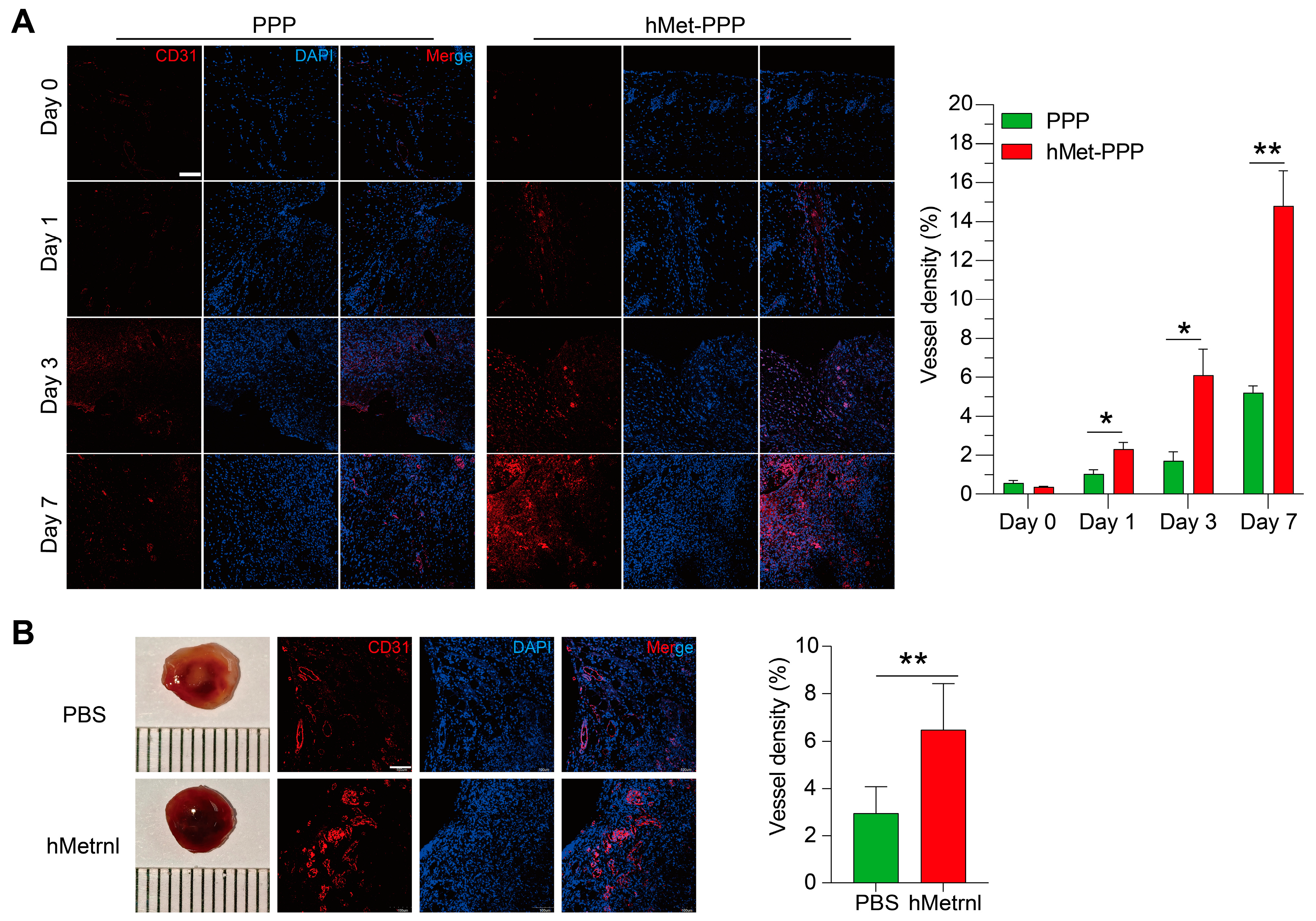Pharmaceuticals 18 01180 g002