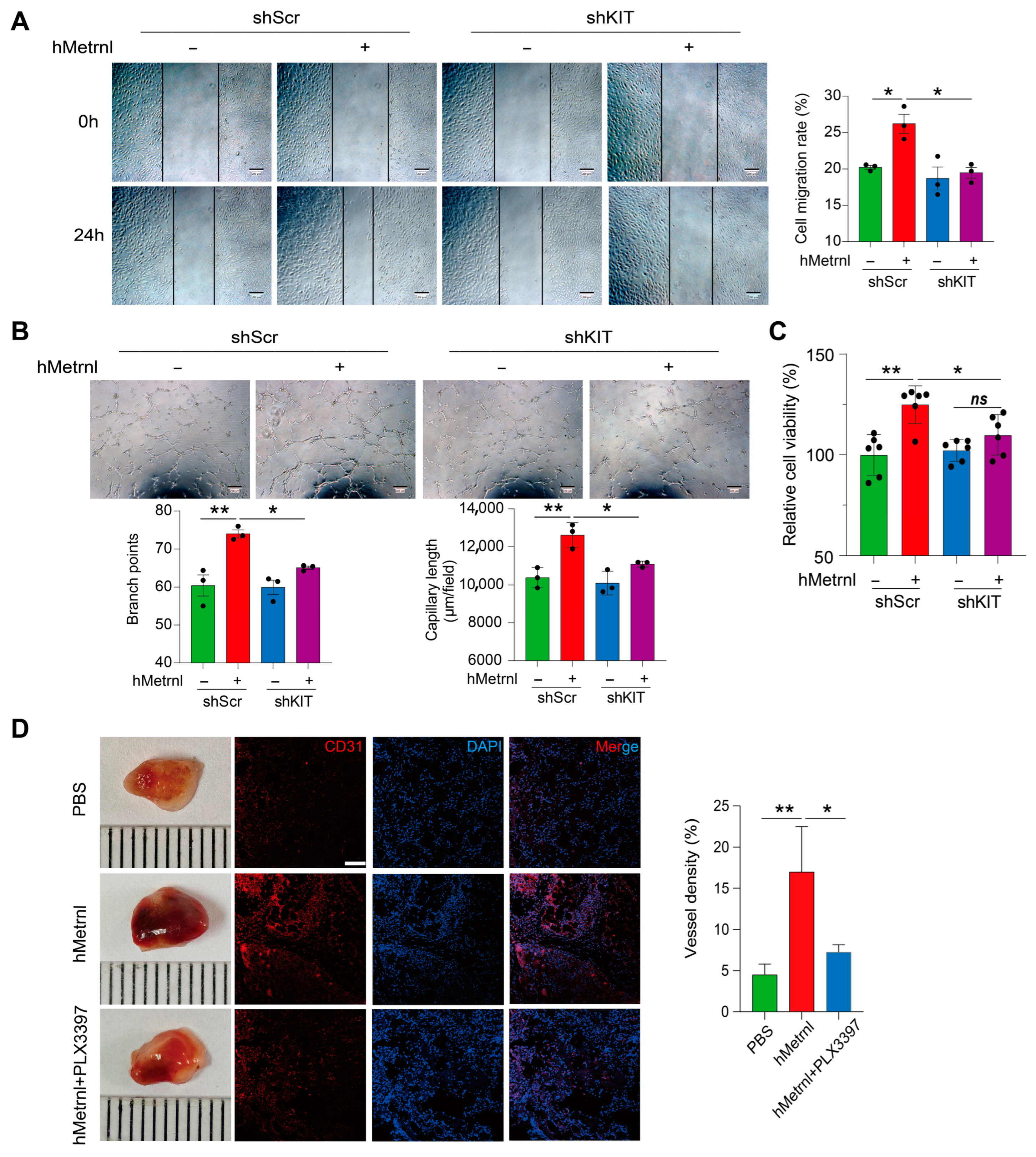 Pharmaceuticals 18 01180 g003