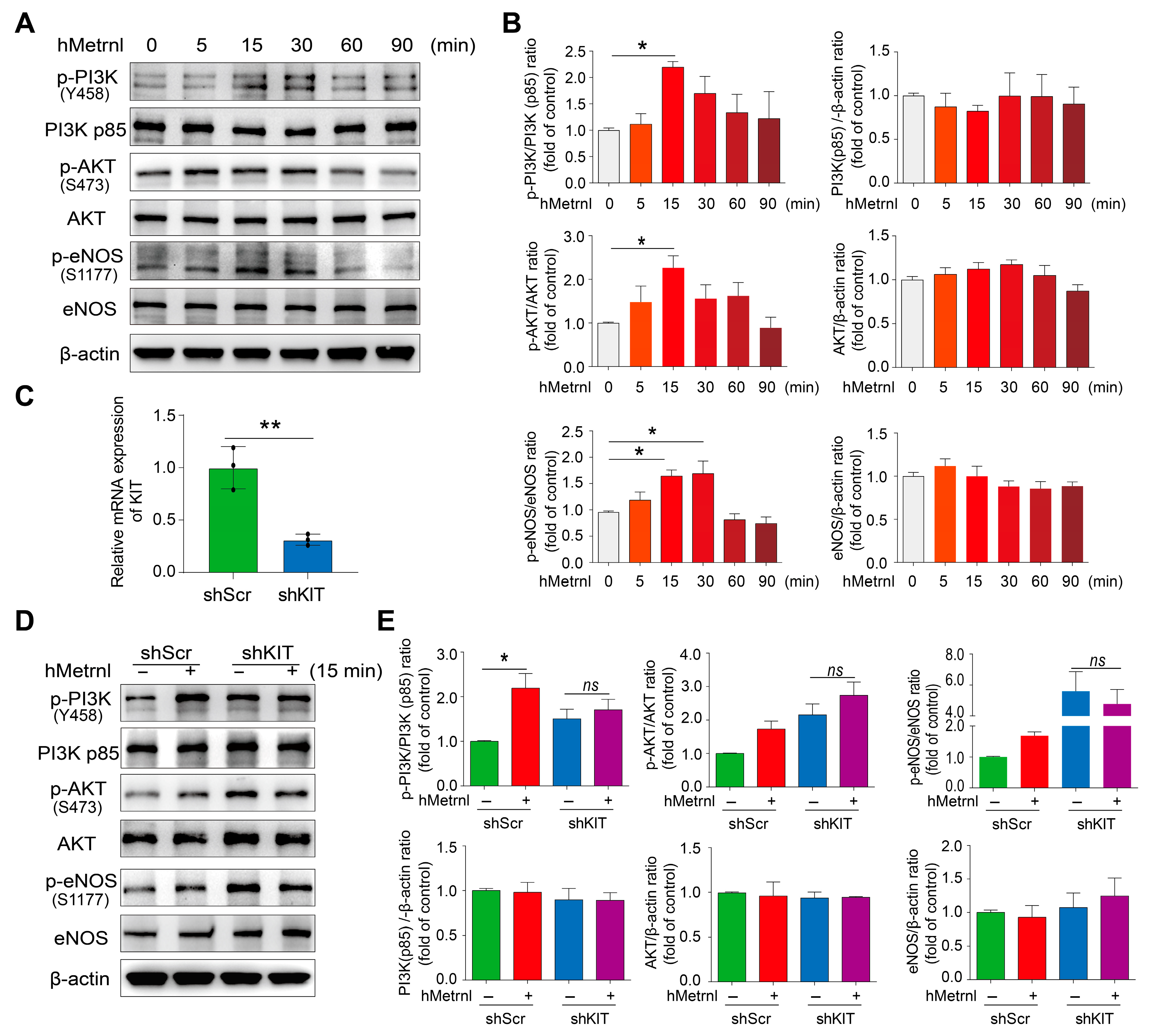 Pharmaceuticals 18 01180 g004