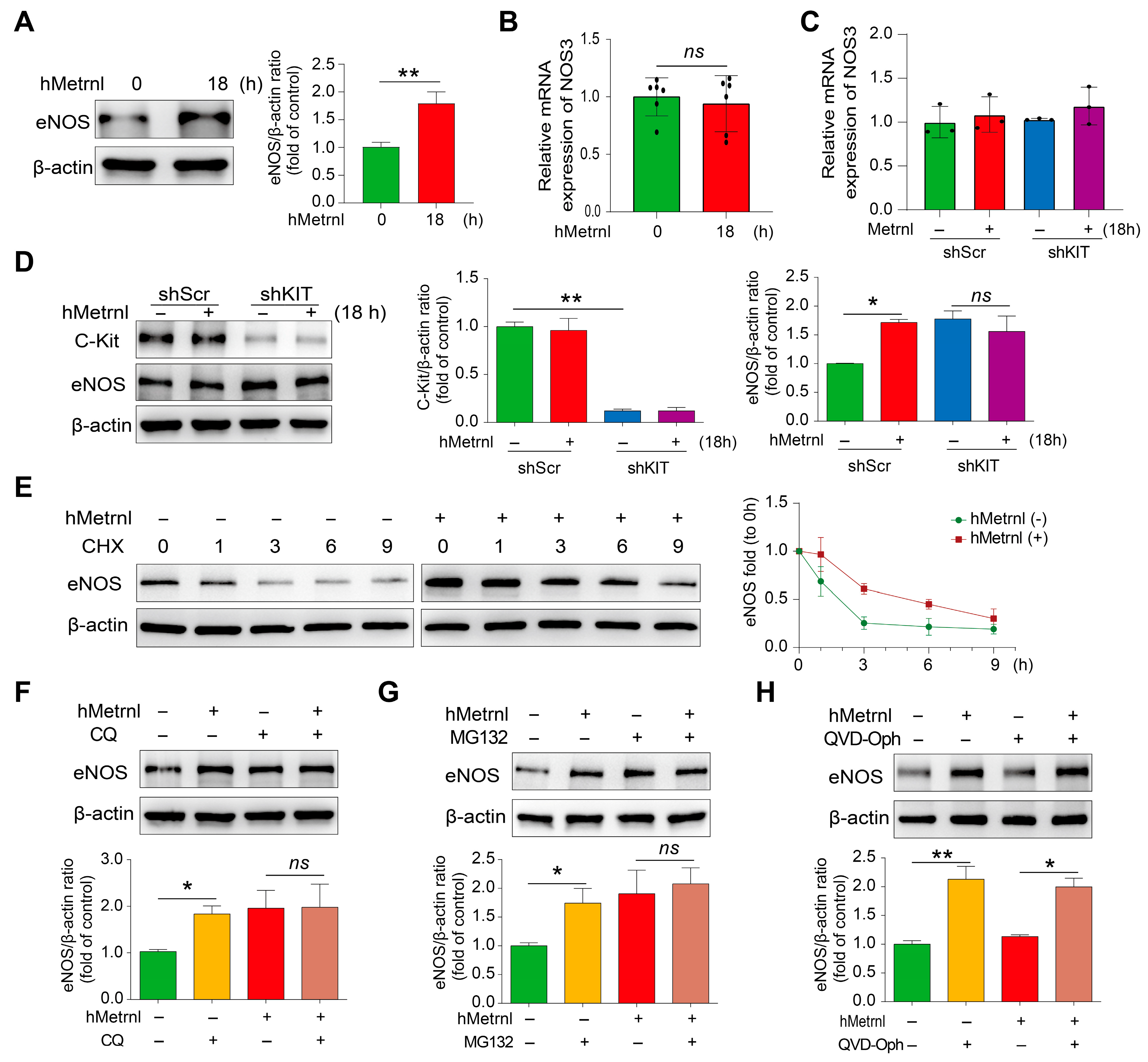 Pharmaceuticals 18 01180 g005