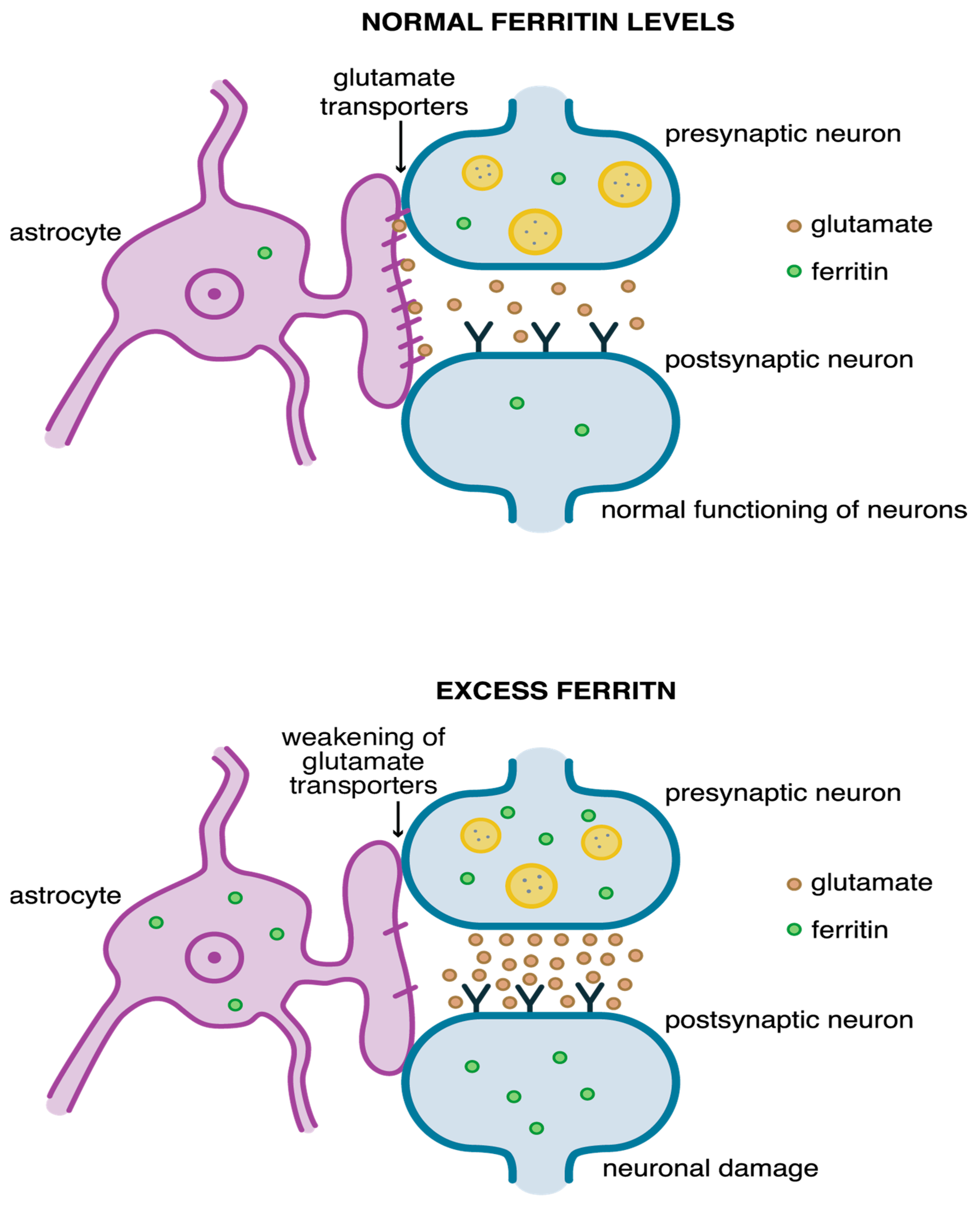 Pharmaceuticals 18 01183 g003 Pharmaceuticals 18 01183 g003