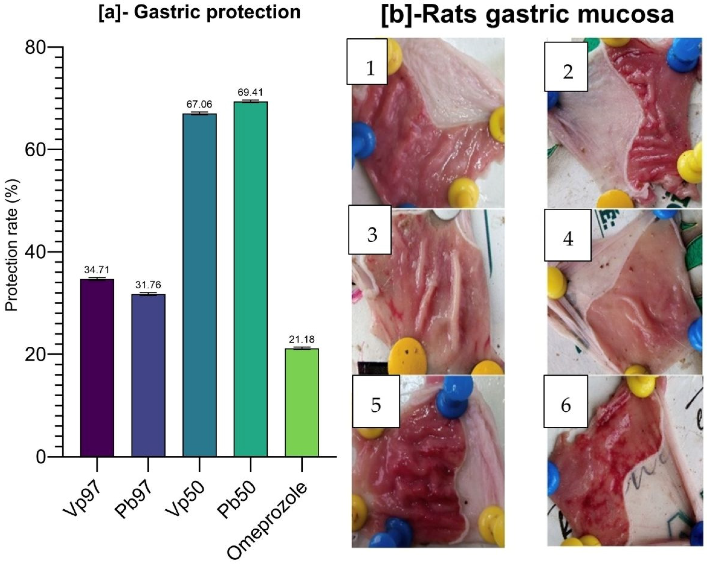 Pharmaceuticals 18 01184 g024
