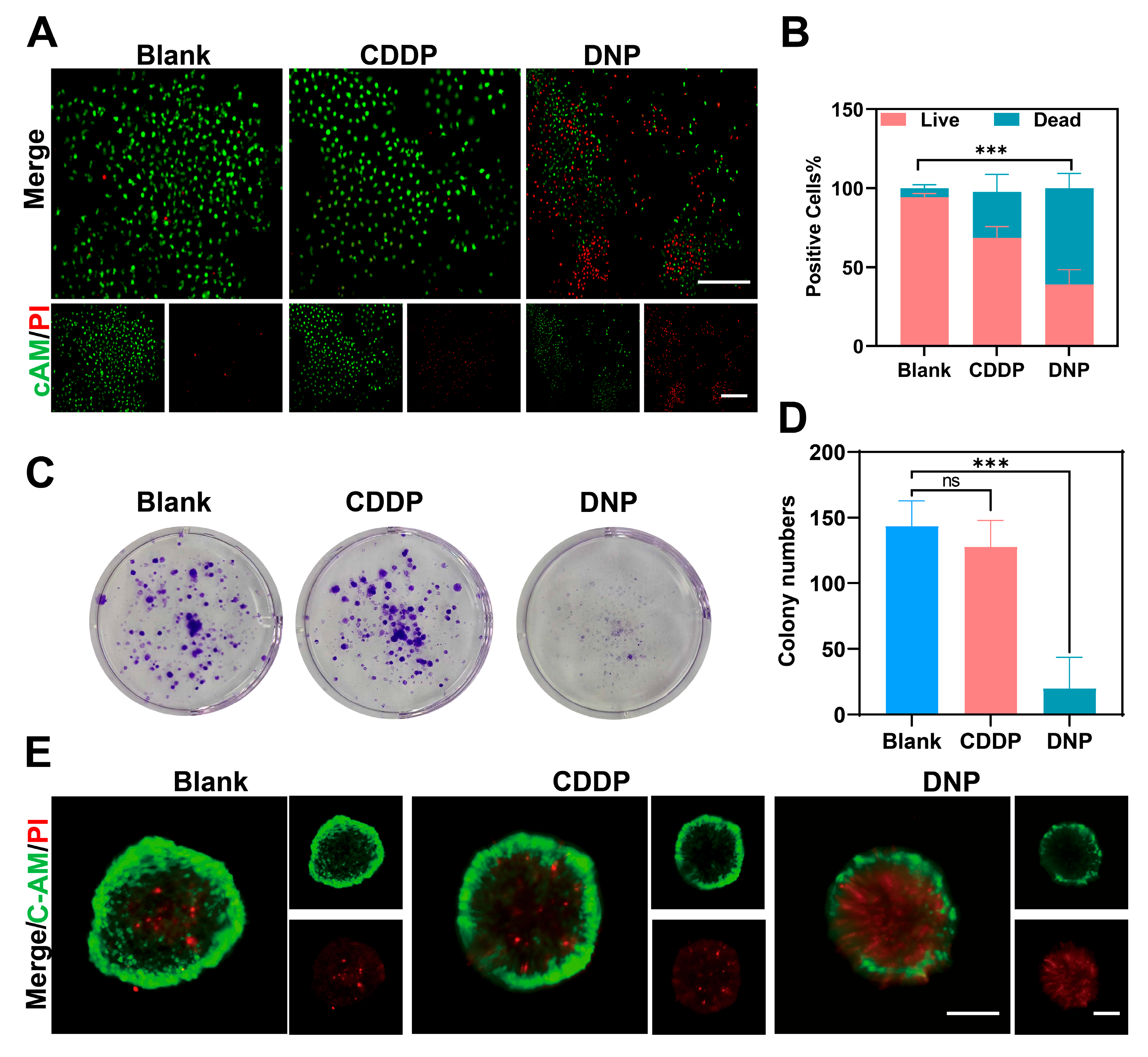 Pharmaceuticals 18 01185 g003