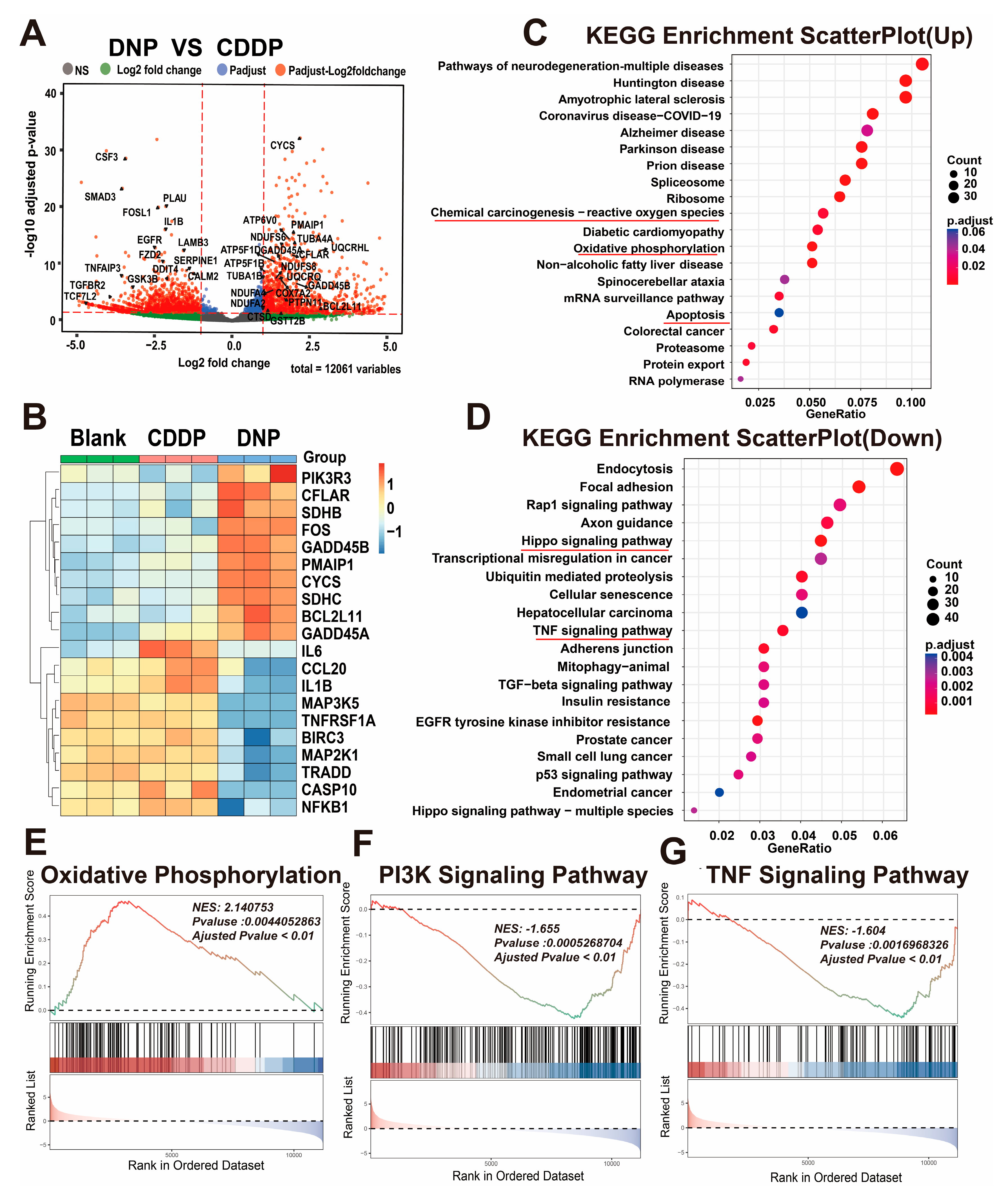 Pharmaceuticals 18 01185 g004