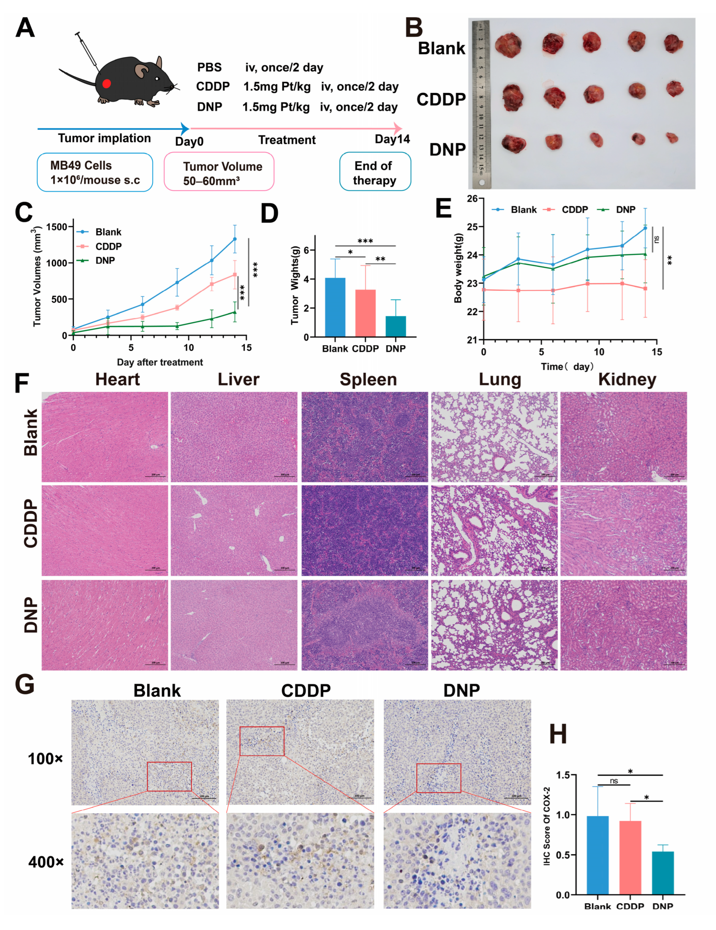 Pharmaceuticals 18 01185 g006