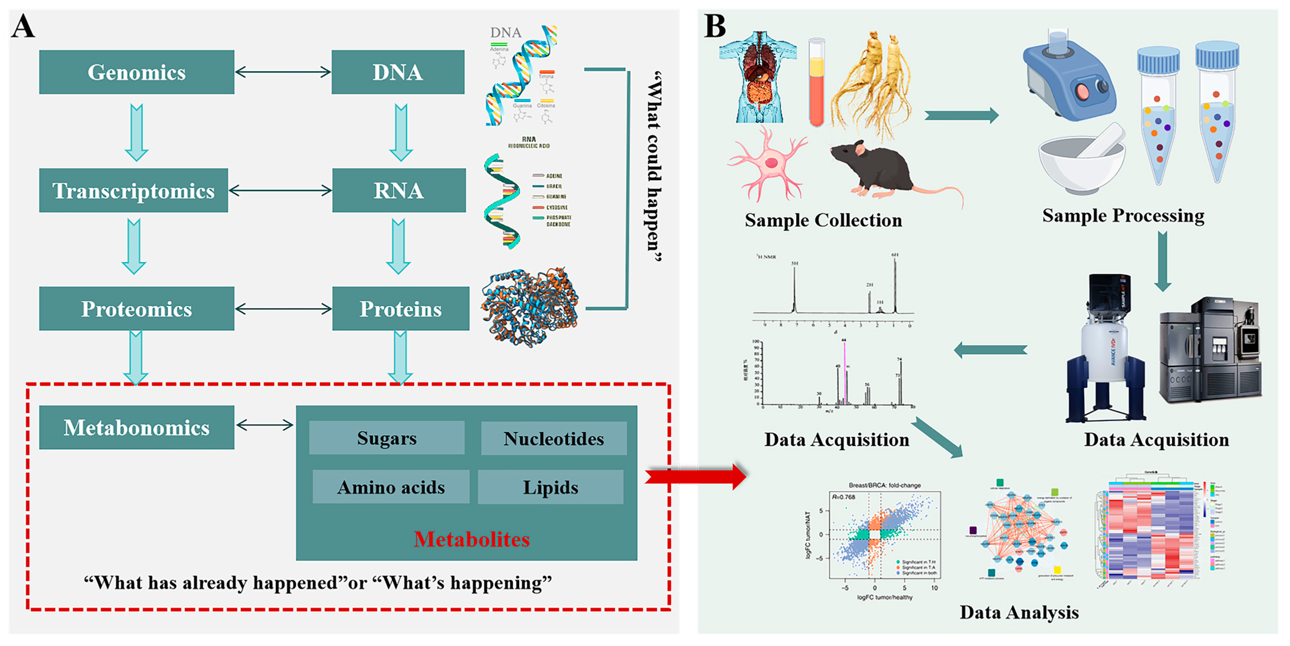 Pharmaceuticals 18 01186 g005 Pharmaceuticals 18 01186 g005
