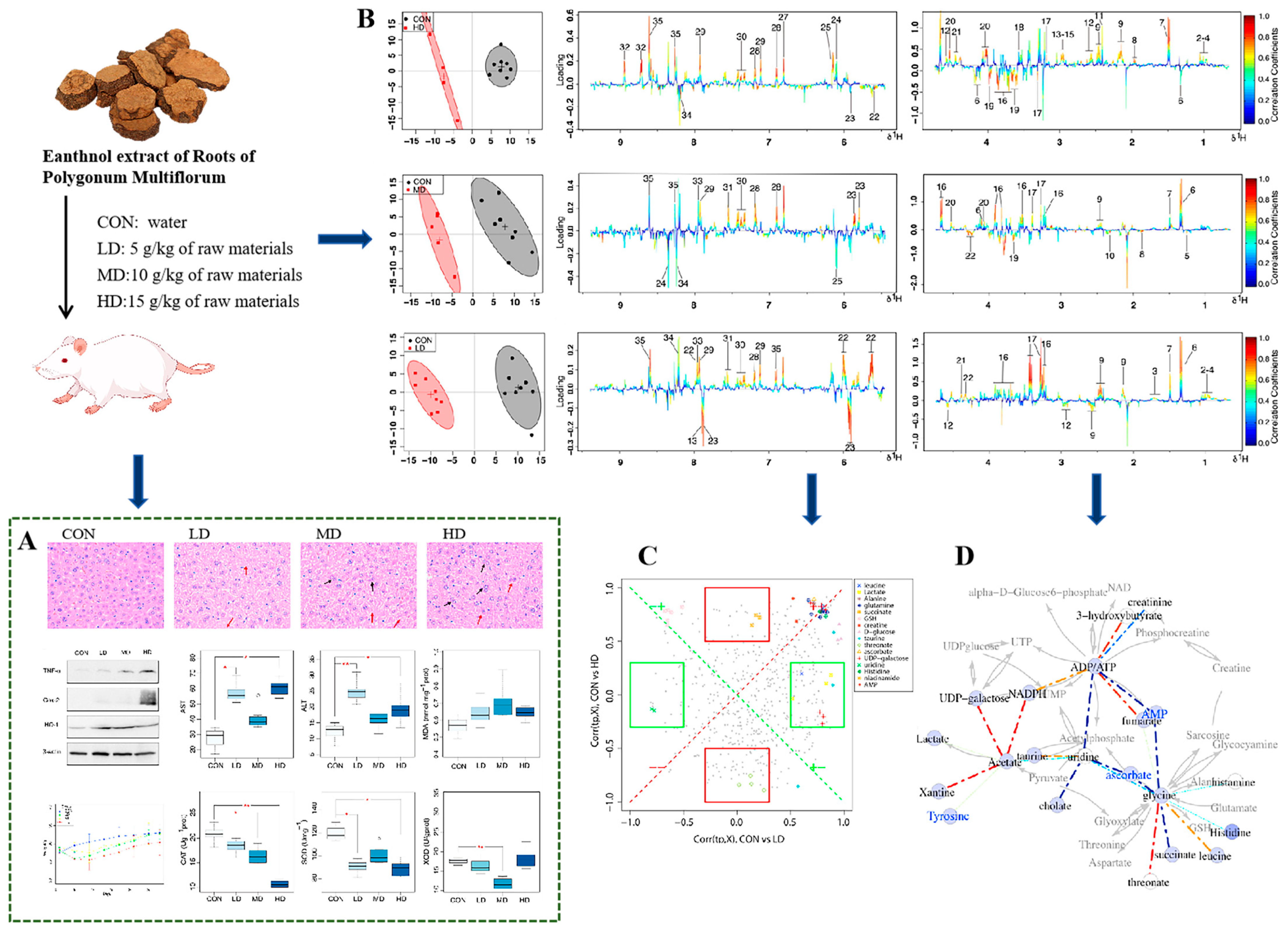 Pharmaceuticals 18 01186 g009 Pharmaceuticals 18 01186 g009