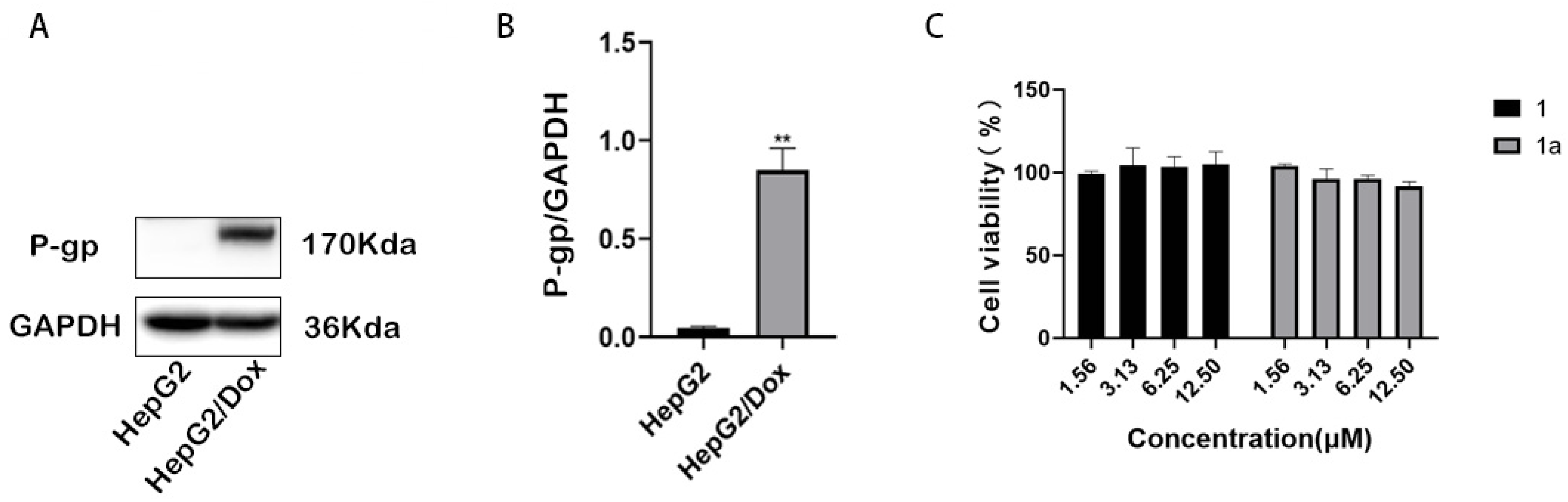 Pharmaceuticals 18 01187 g002 Pharmaceuticals 18 01187 g002