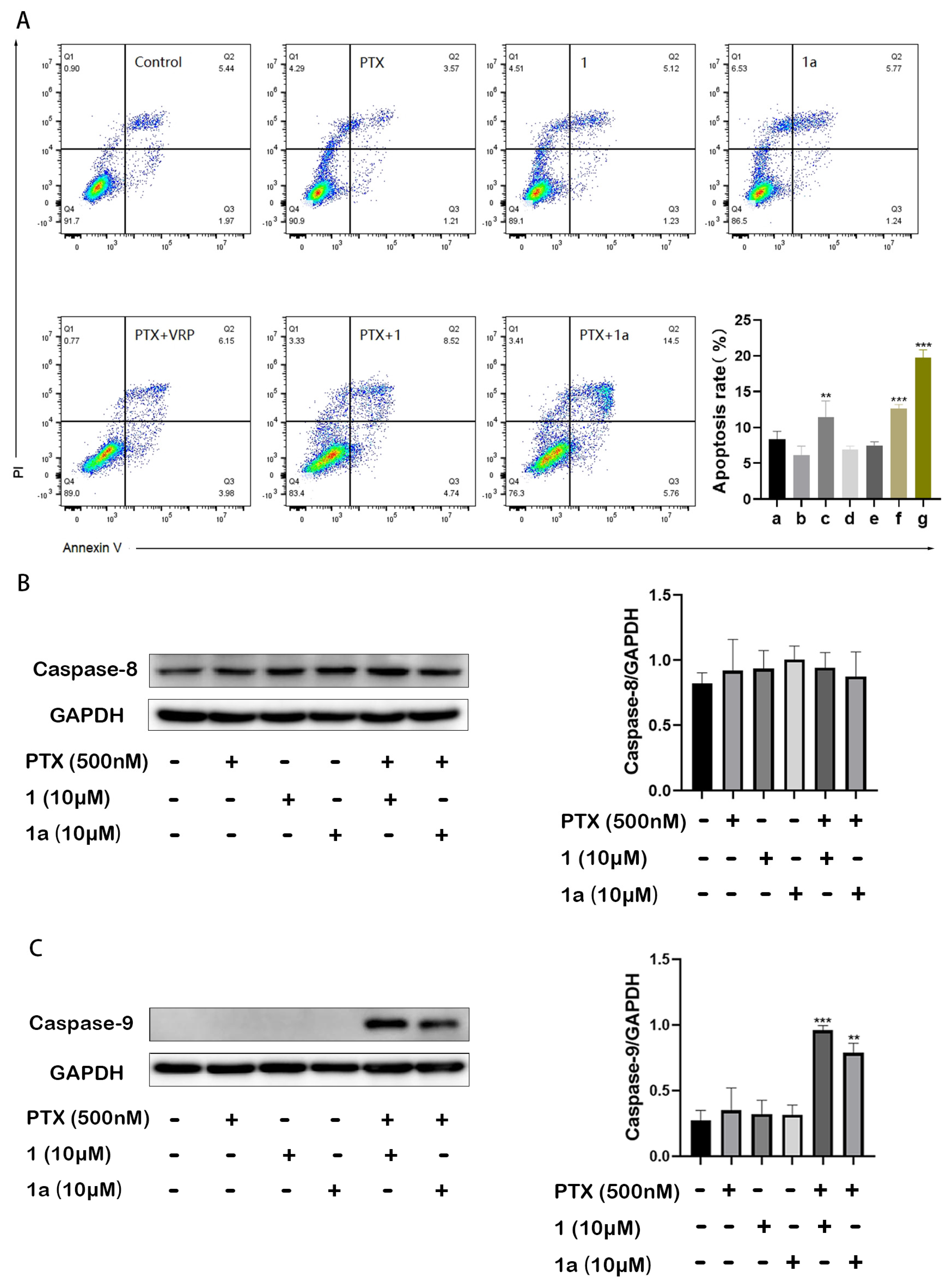 Pharmaceuticals 18 01187 g003 Pharmaceuticals 18 01187 g003