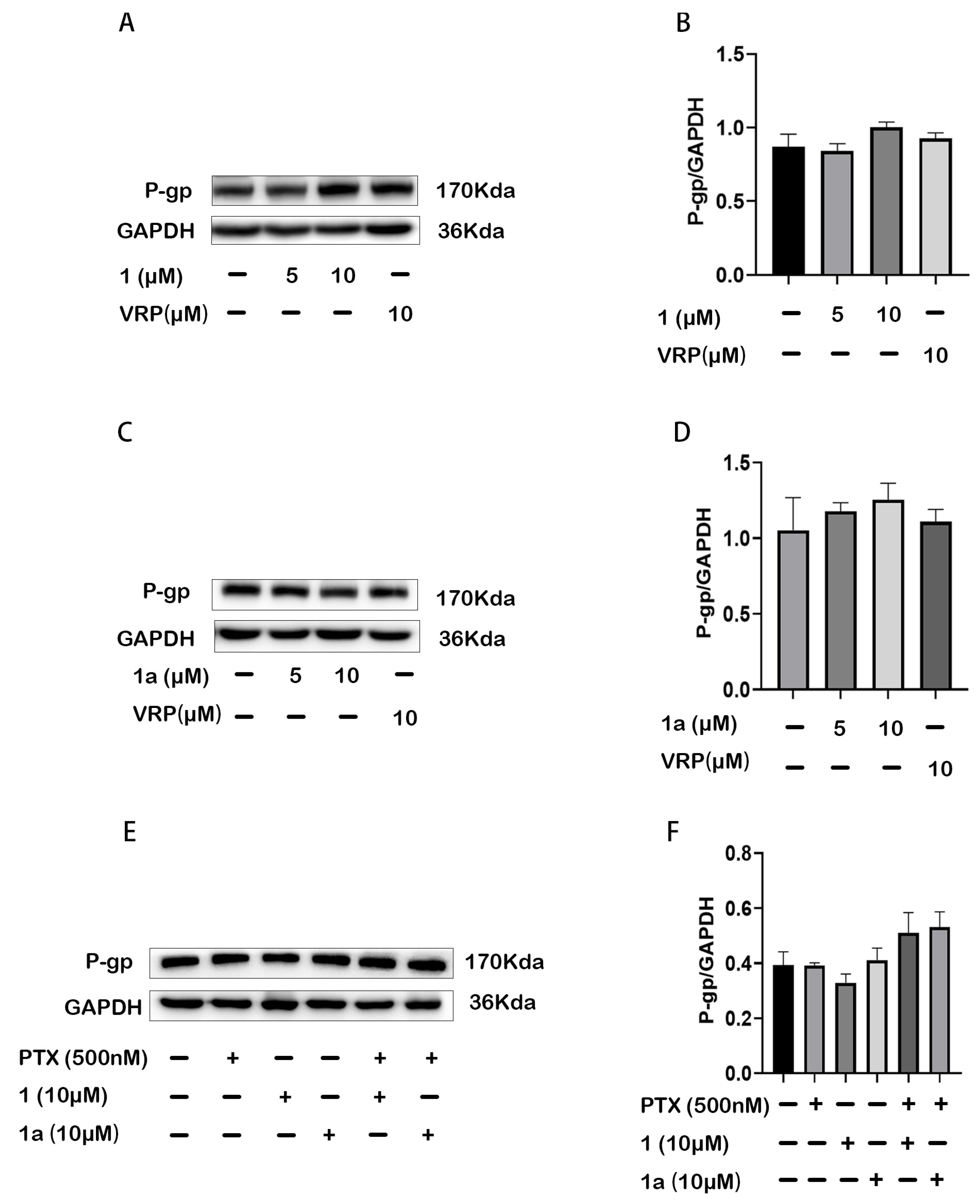 Pharmaceuticals 18 01187 g004 Pharmaceuticals 18 01187 g004