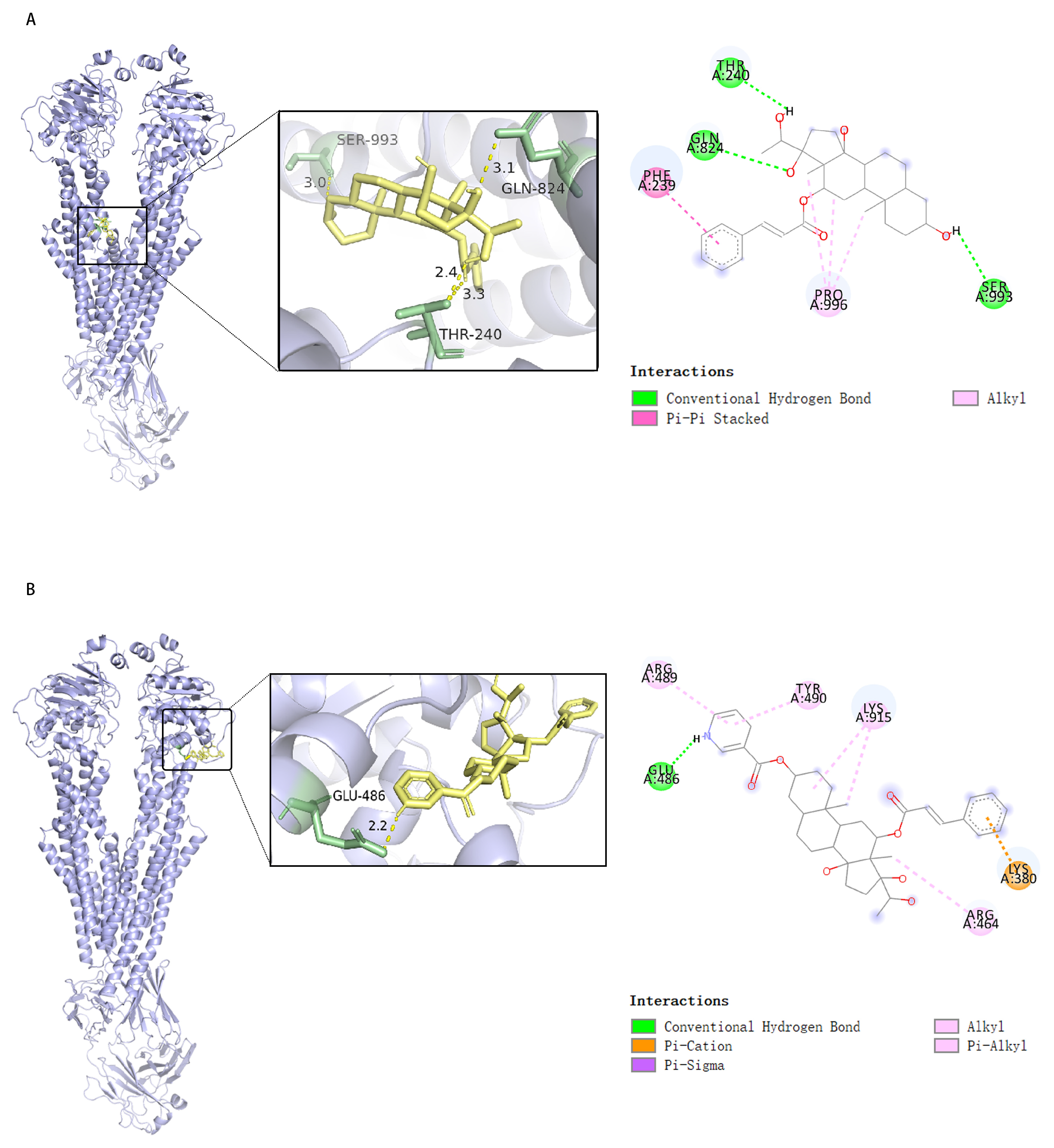 Pharmaceuticals 18 01187 g006 Pharmaceuticals 18 01187 g006