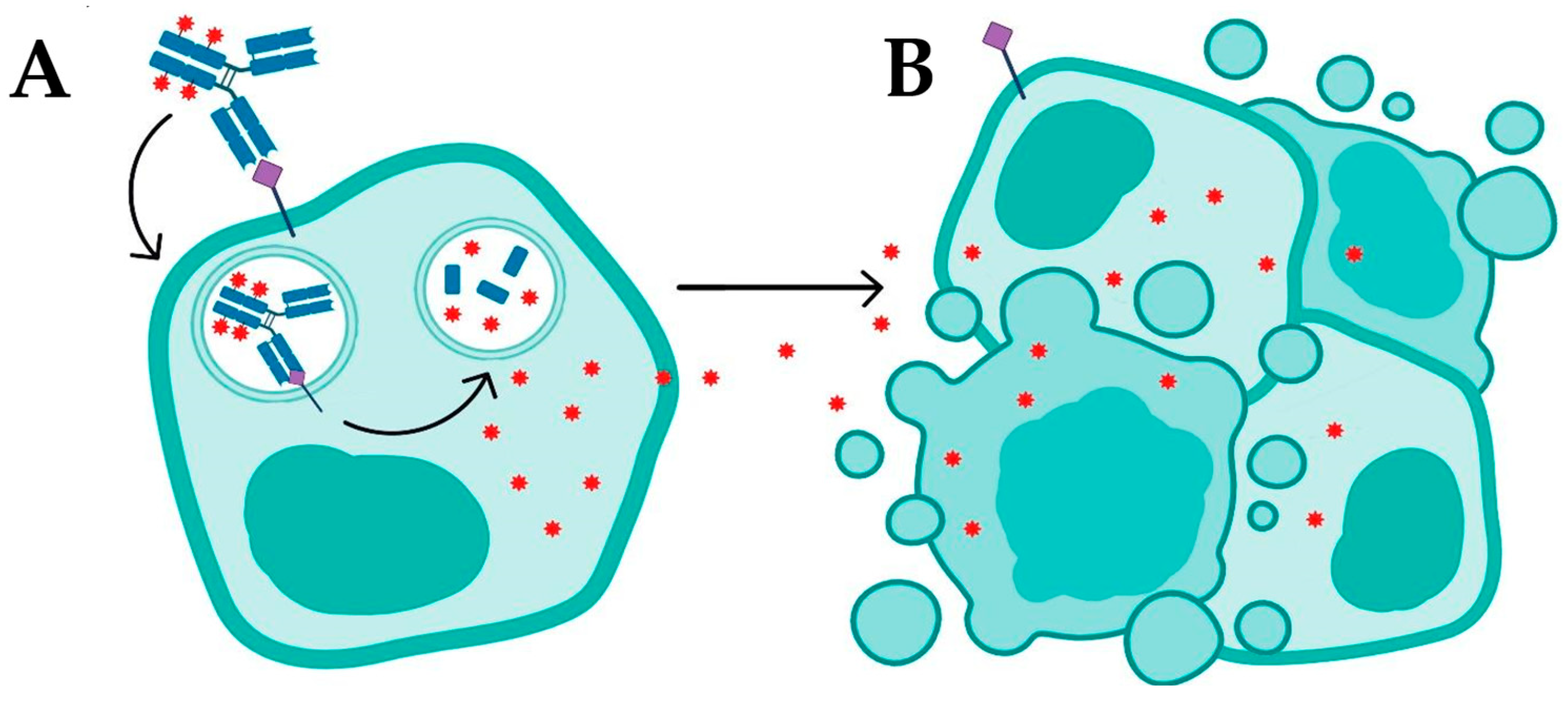 Pharmaceuticals 18 01198 g002 Pharmaceuticals 18 01198 g002