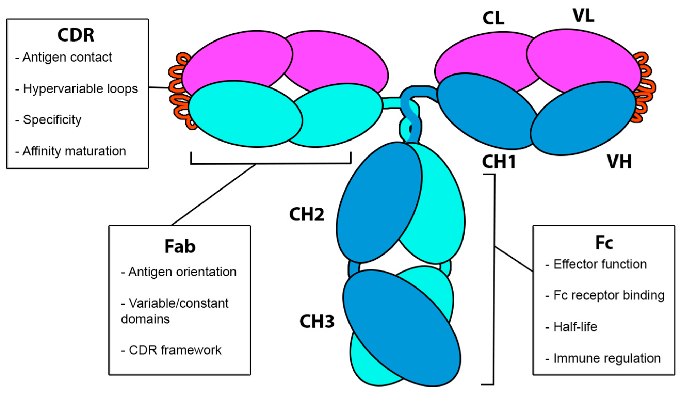 Pharmaceuticals 18 01198 g003 Pharmaceuticals 18 01198 g003