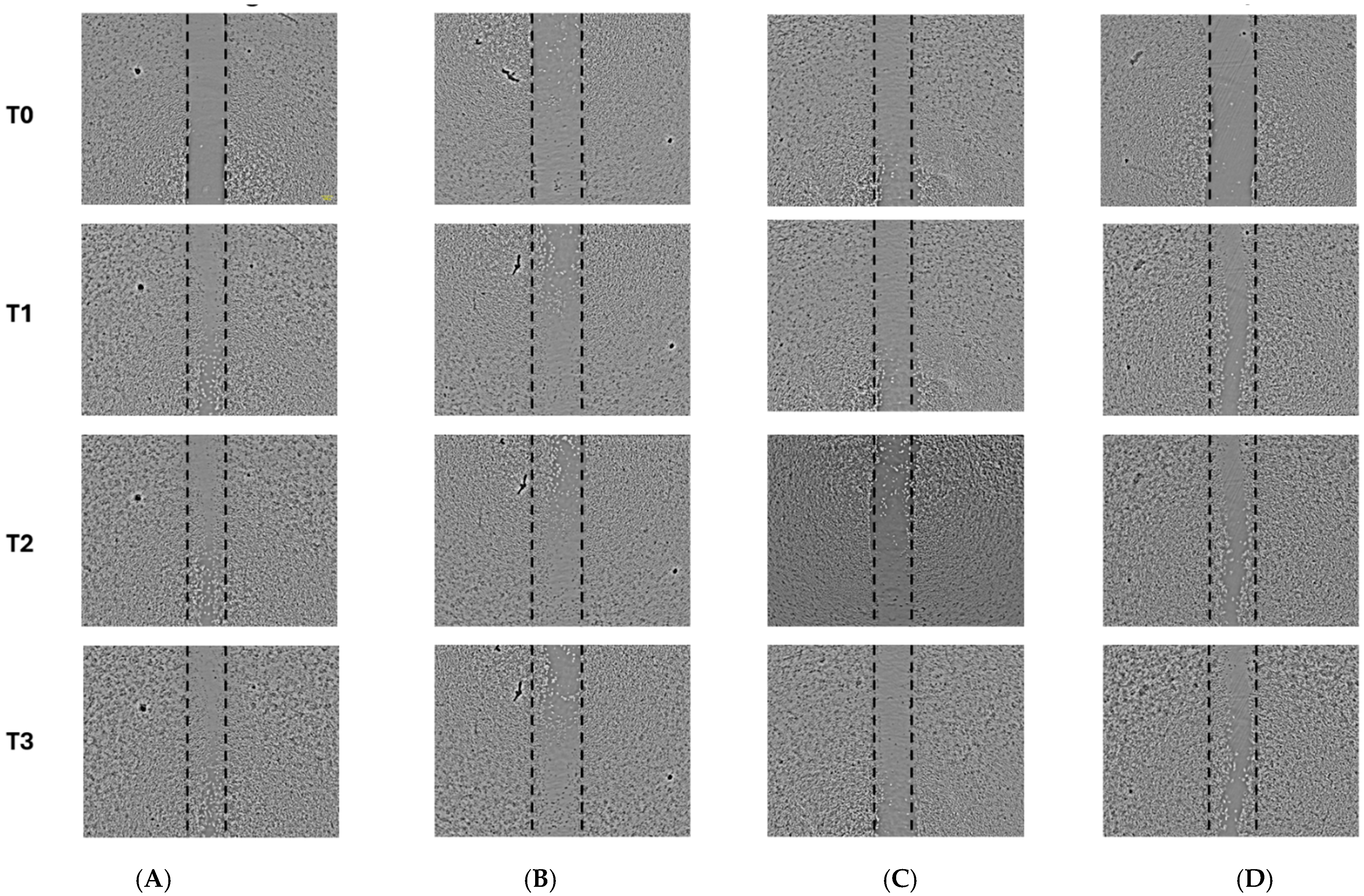 Pharmaceuticals 18 01199 g004 Pharmaceuticals 18 01199 g004