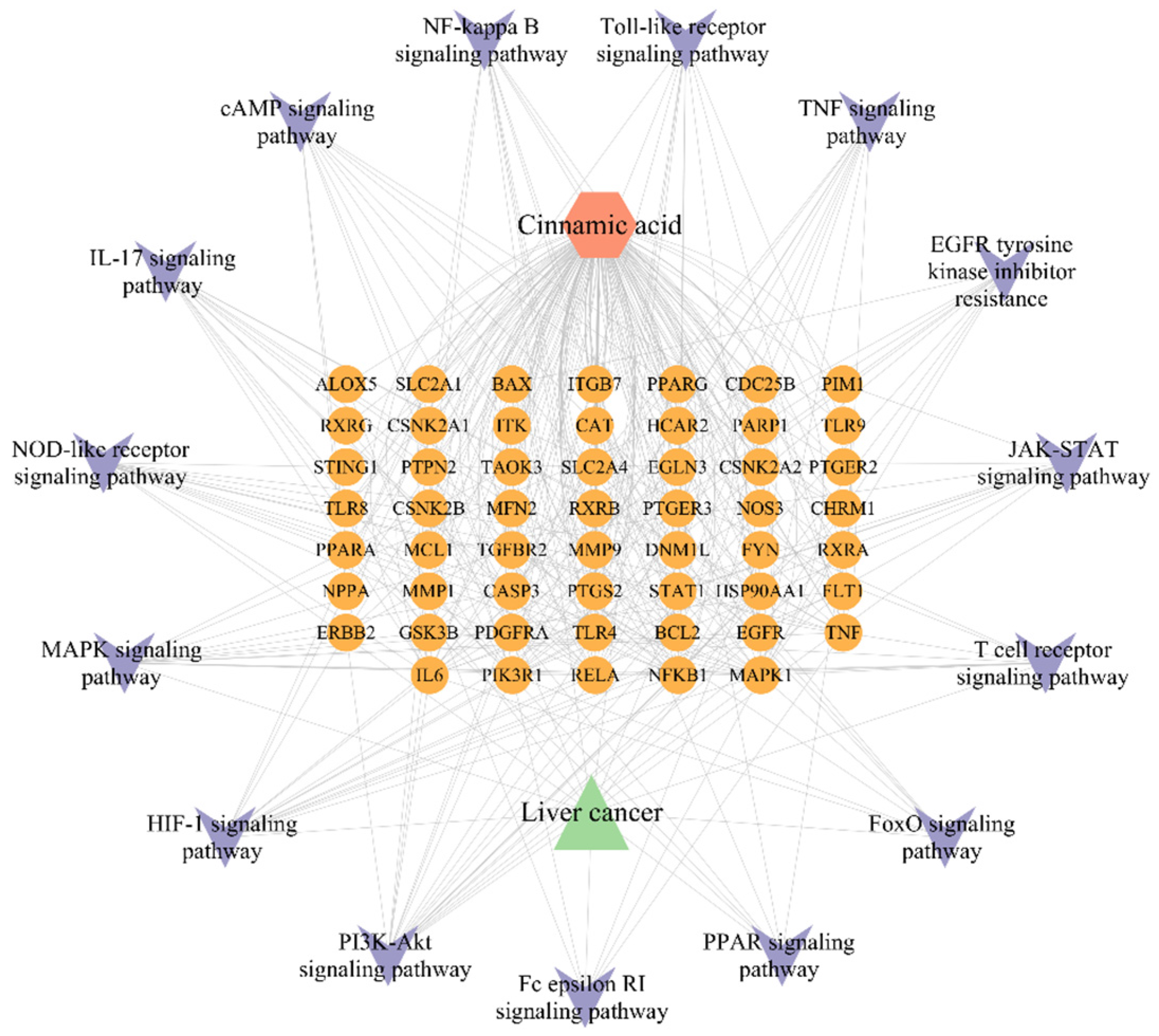 Pharmaceuticals 18 01205 g005 Pharmaceuticals 18 01205 g005