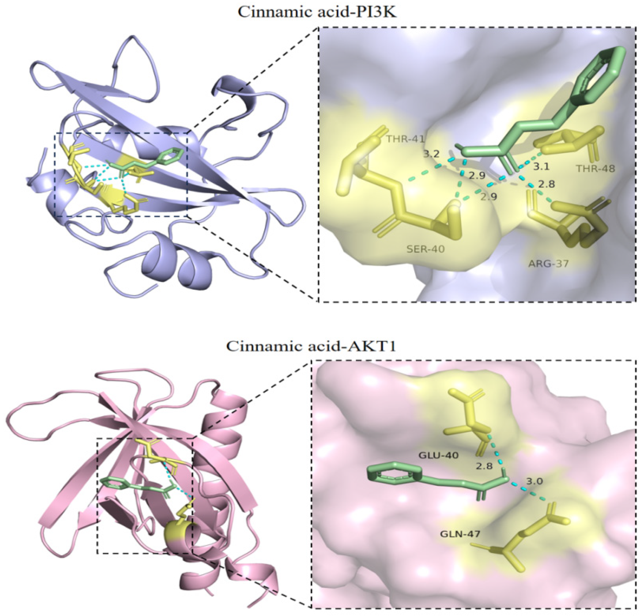 Pharmaceuticals 18 01205 g006 Pharmaceuticals 18 01205 g006
