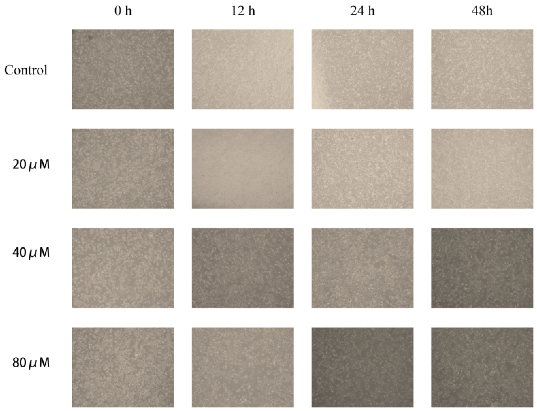 Pharmaceuticals 18 01205 g008 Pharmaceuticals 18 01205 g008