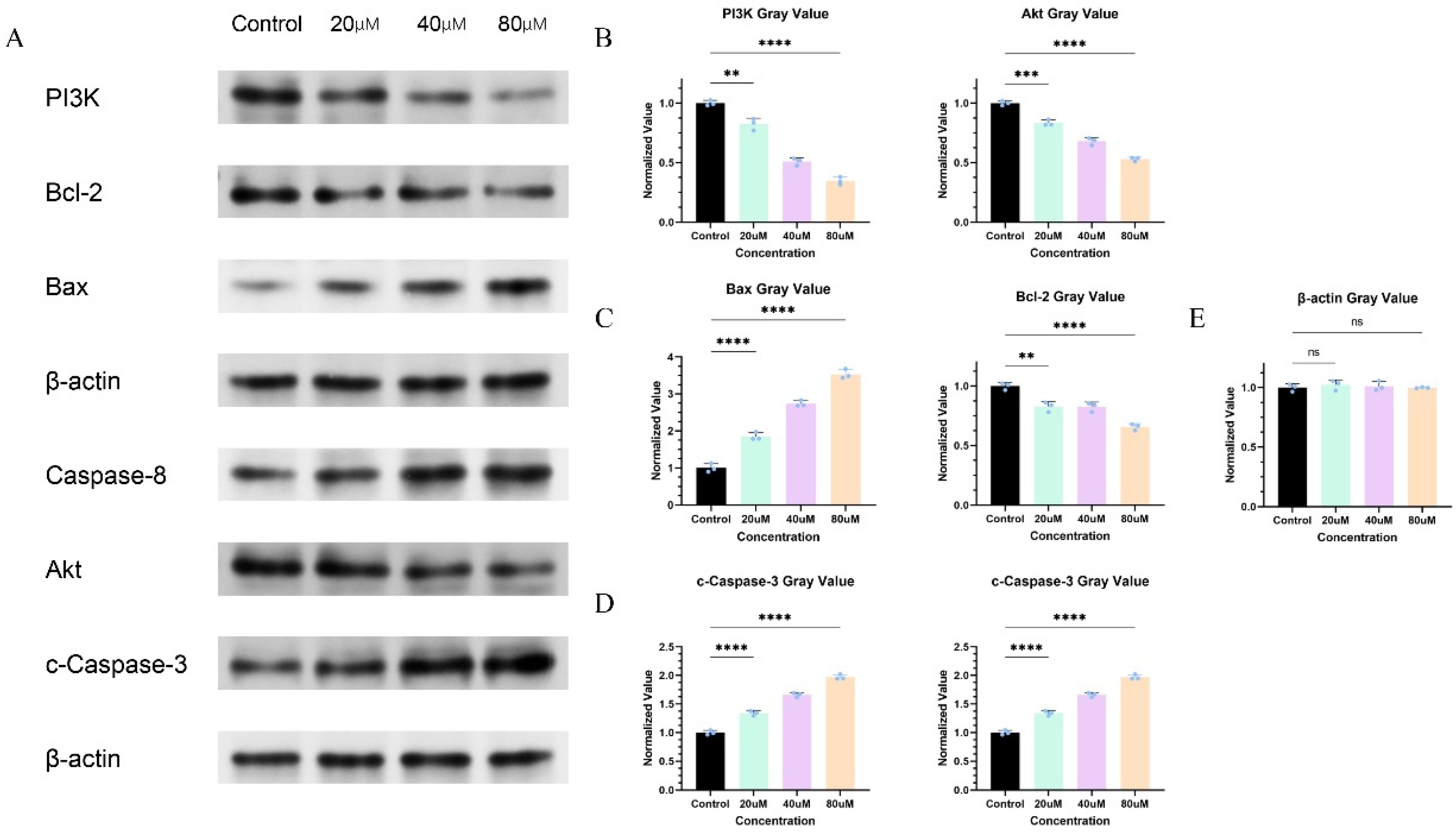 Pharmaceuticals 18 01205 g011 Pharmaceuticals 18 01205 g011