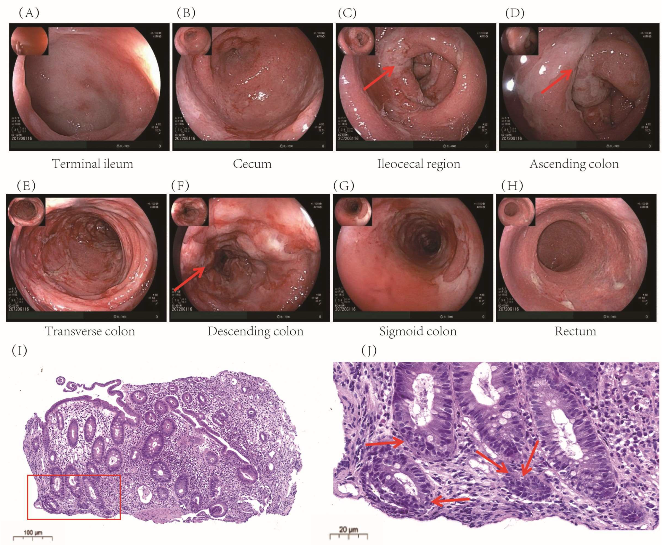 Pharmaceuticals 18 01211 g001