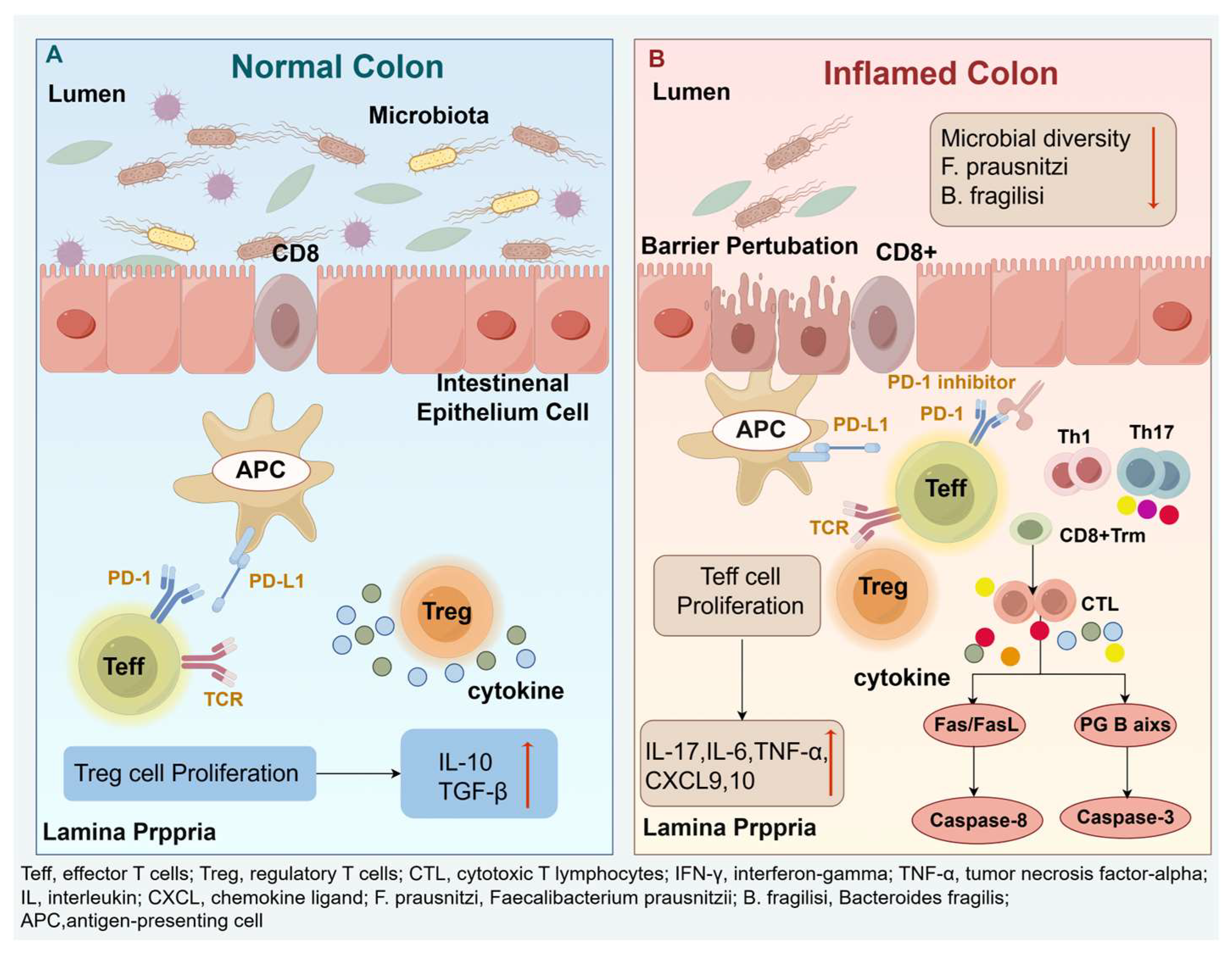 Pharmaceuticals 18 01211 g003