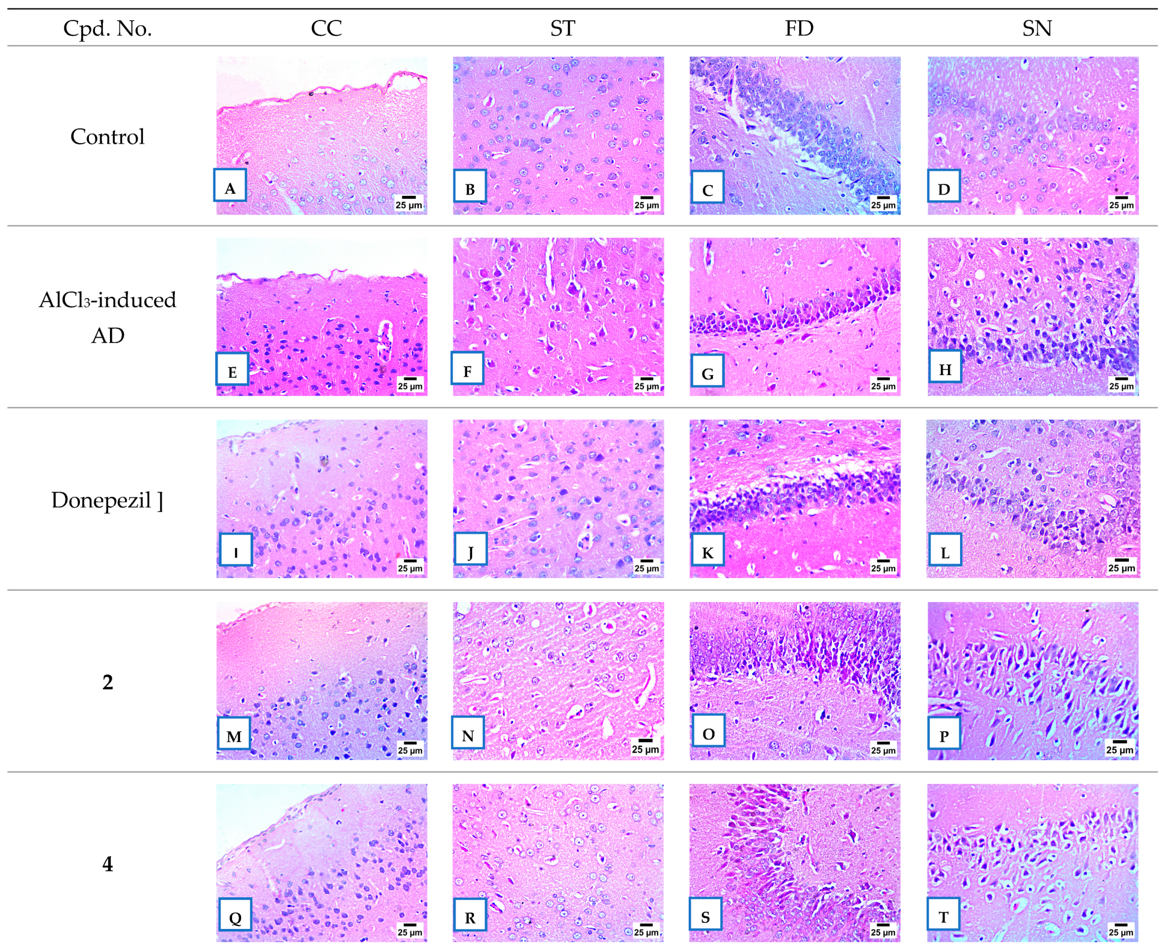 Pharmaceuticals 18 01214 g010