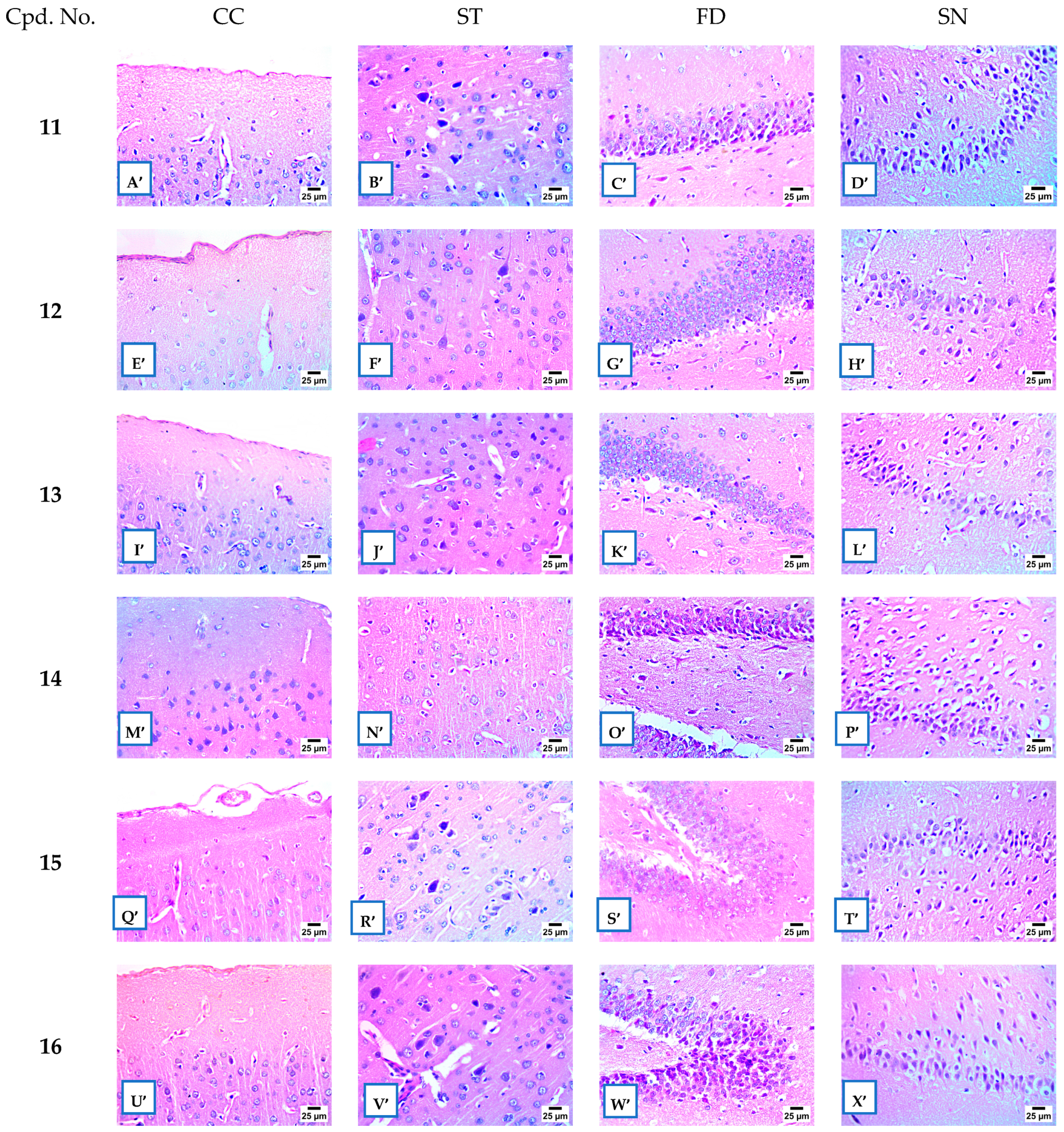 Pharmaceuticals 18 01214 g011