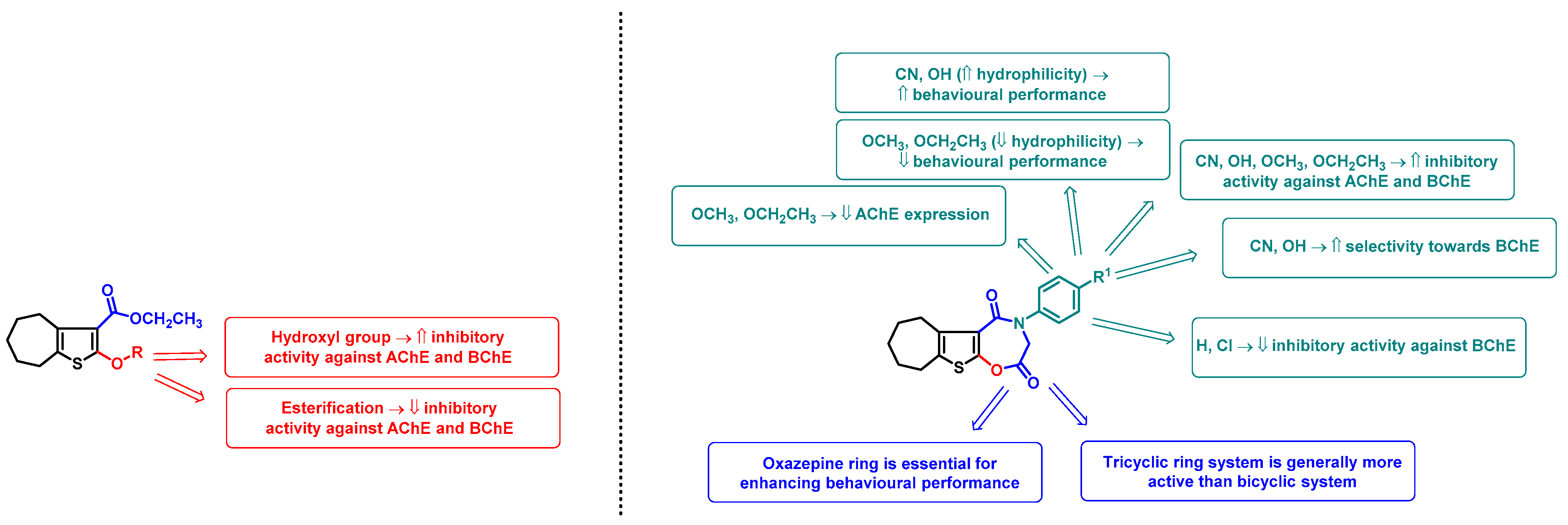 Pharmaceuticals 18 01214 g013