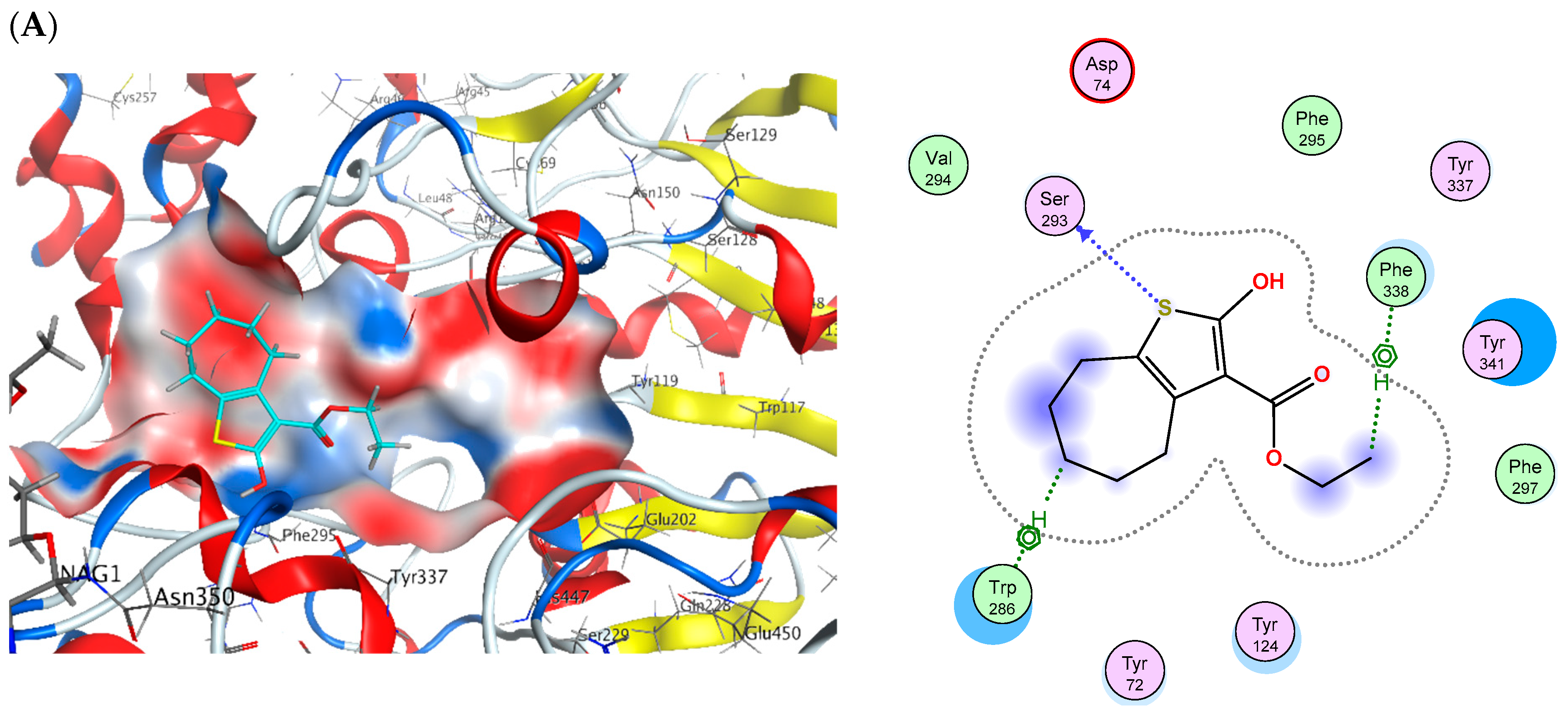 Pharmaceuticals 18 01214 g016a