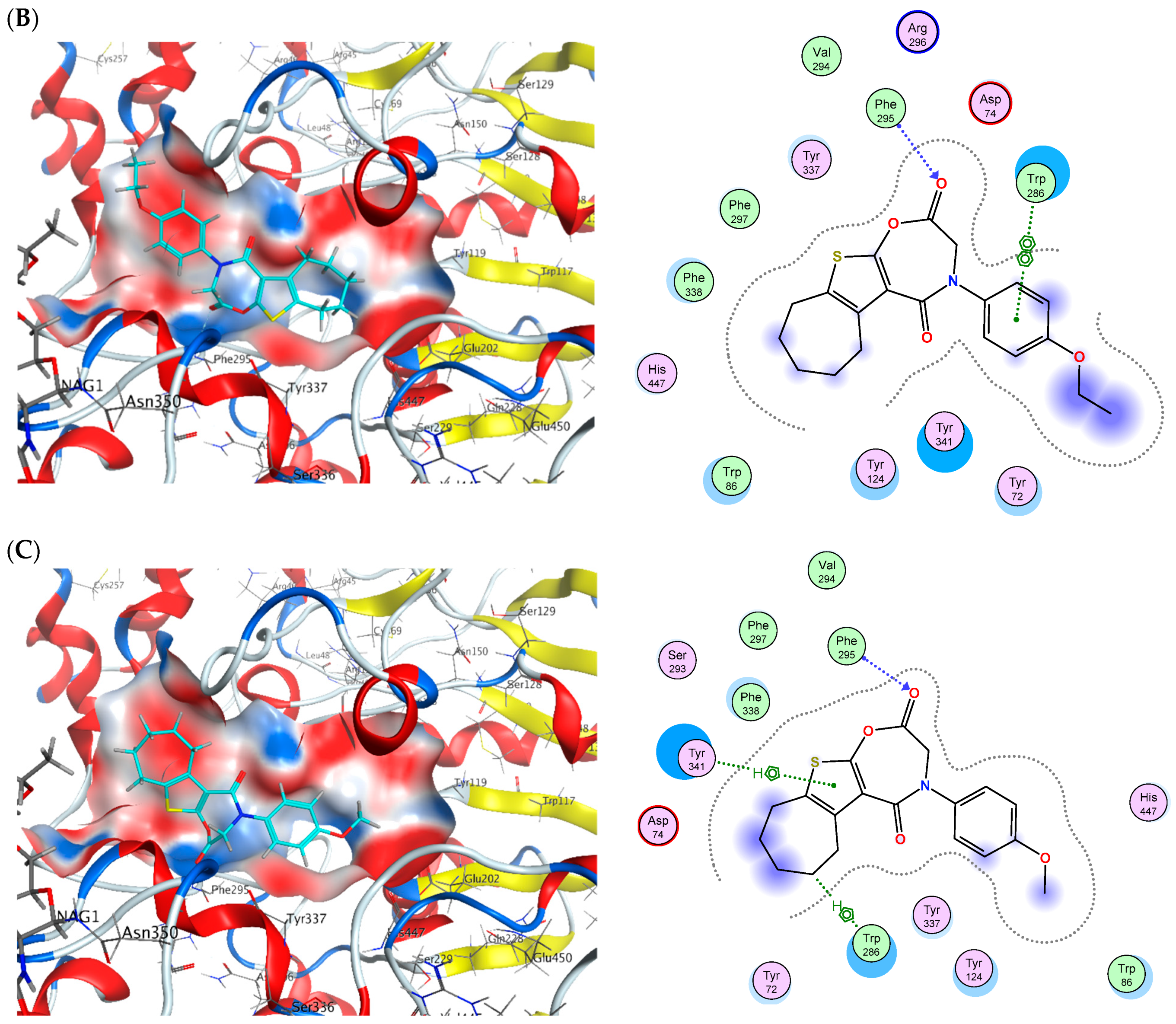 Pharmaceuticals 18 01214 g016b